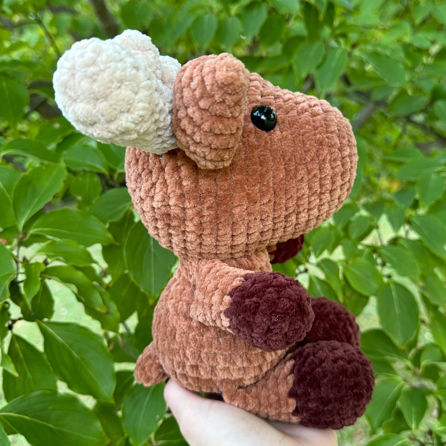 Moose