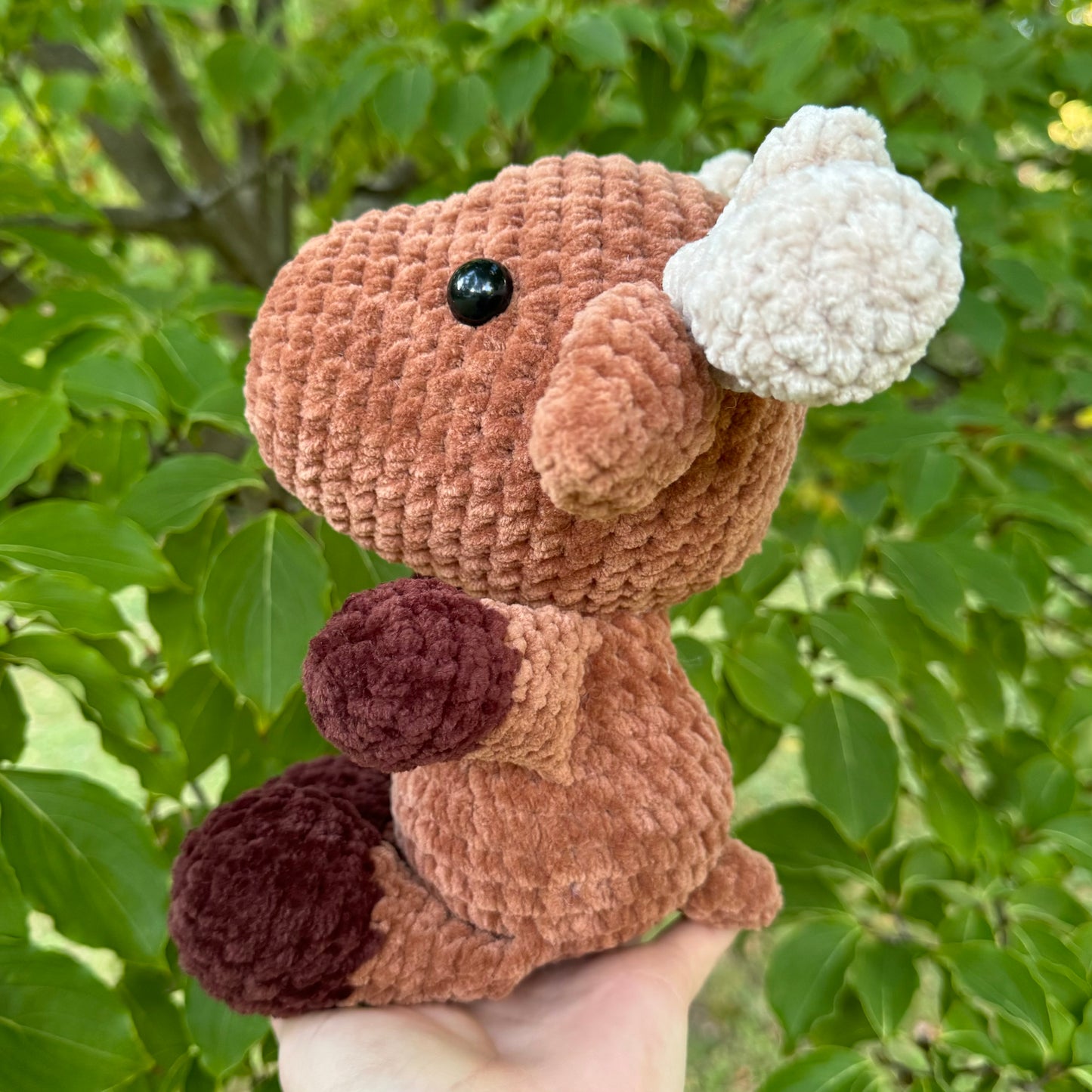 Moose