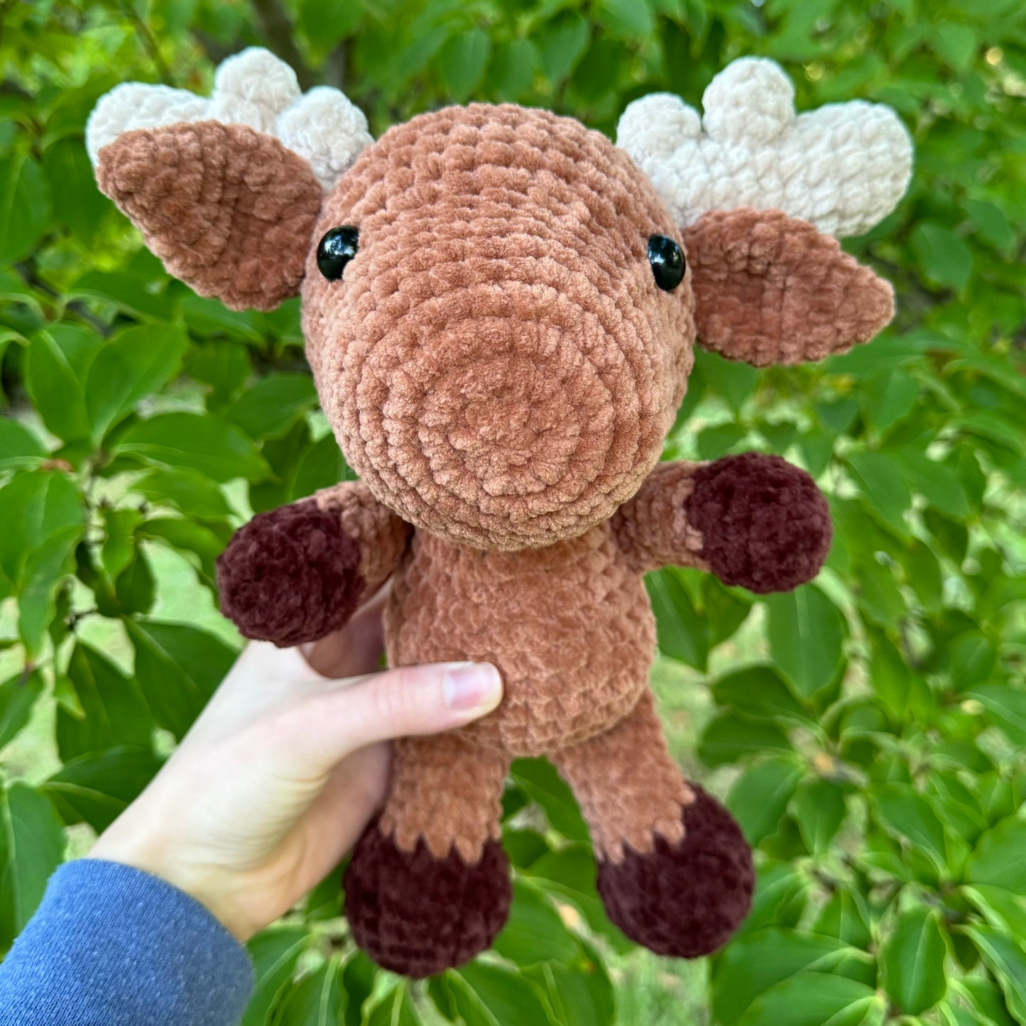 Moose