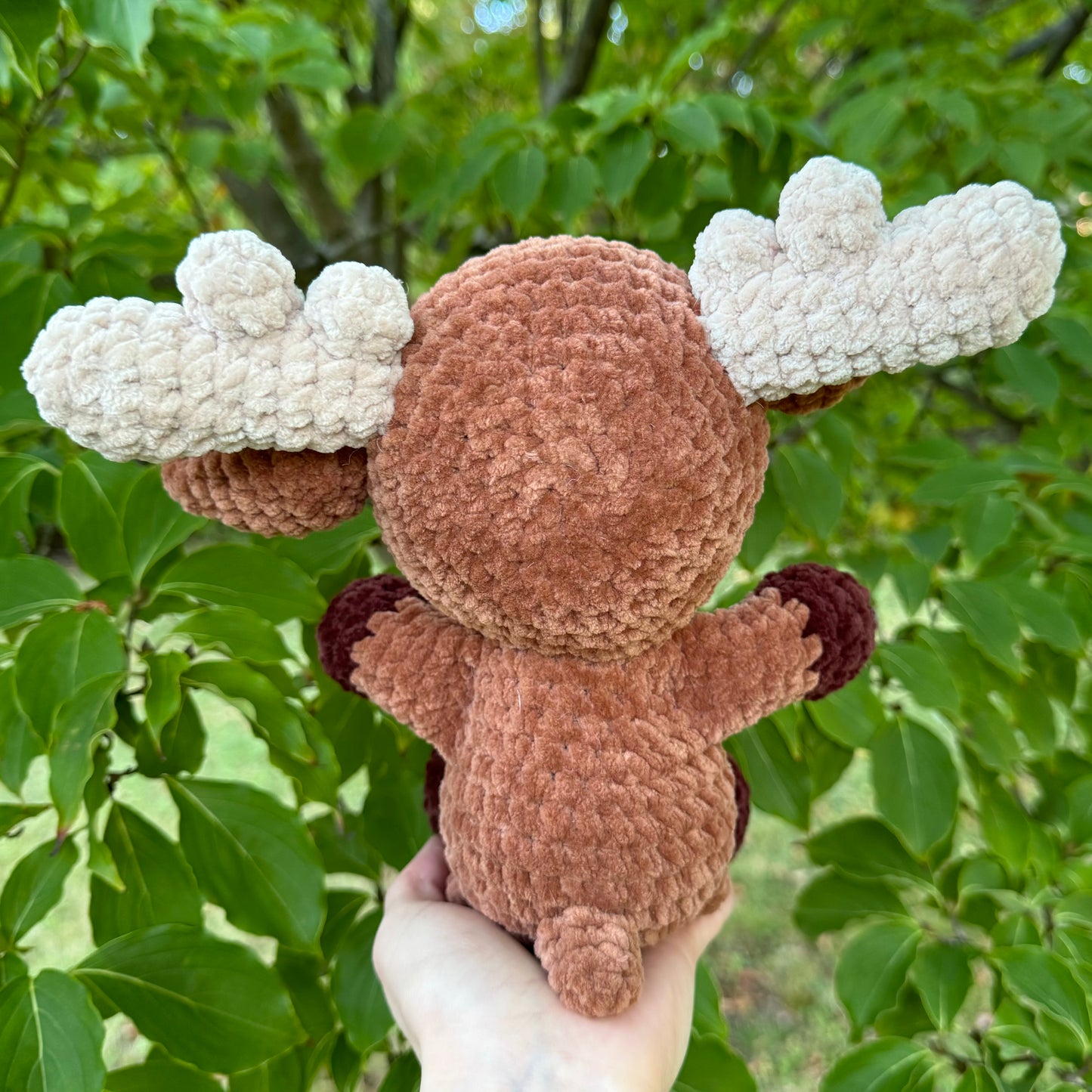 Moose