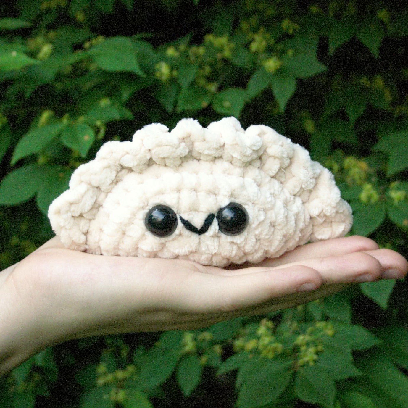 Dumpling