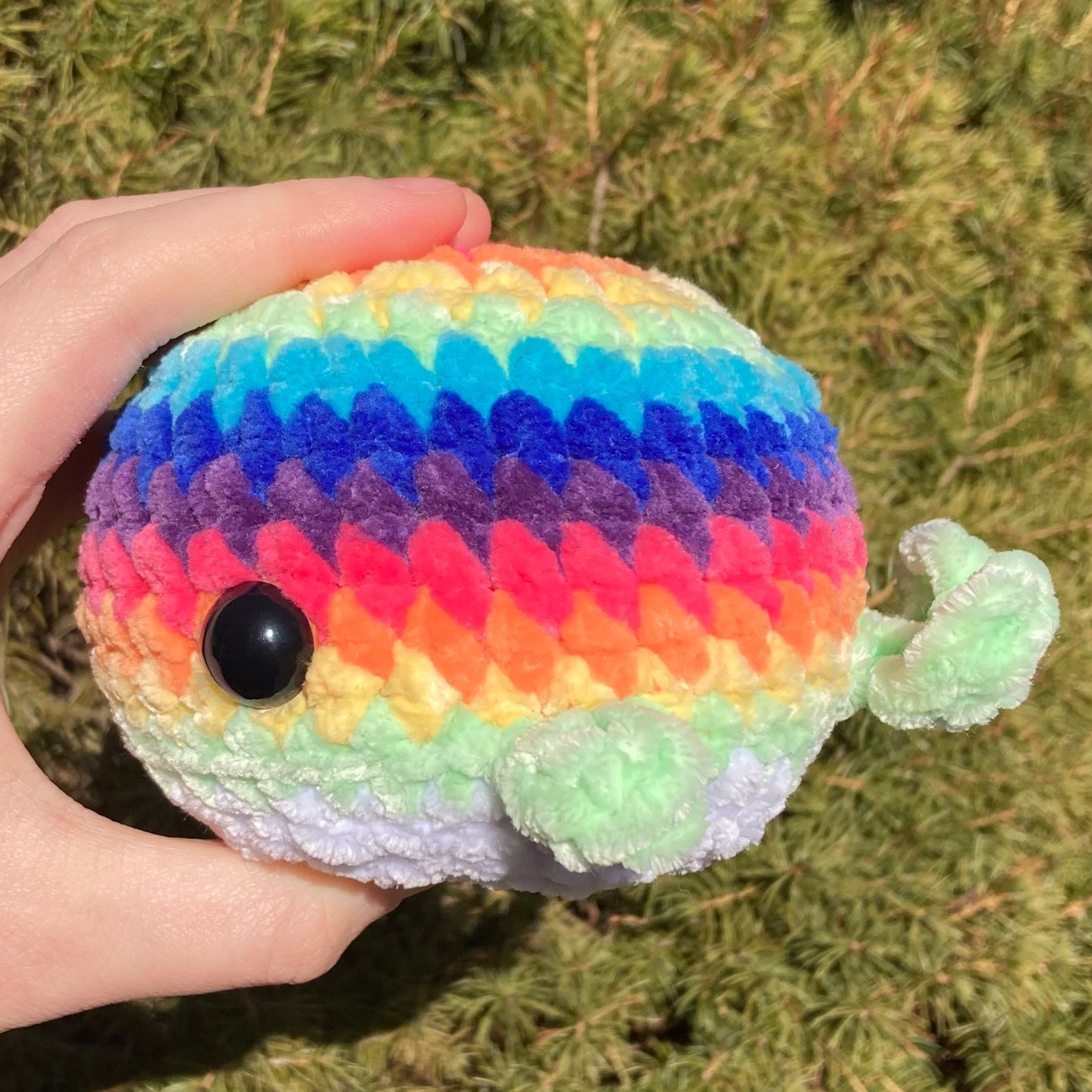 Rainbow Whale
