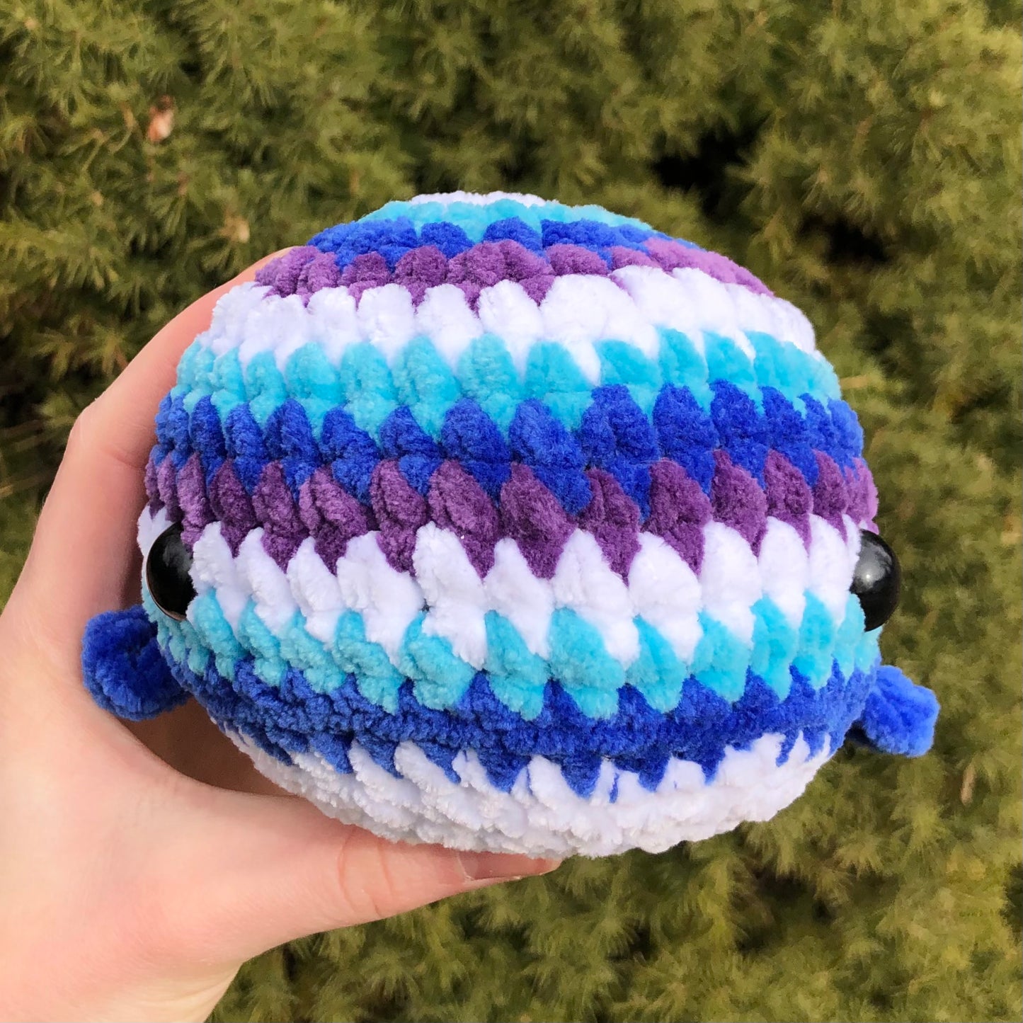 Ocean Whale