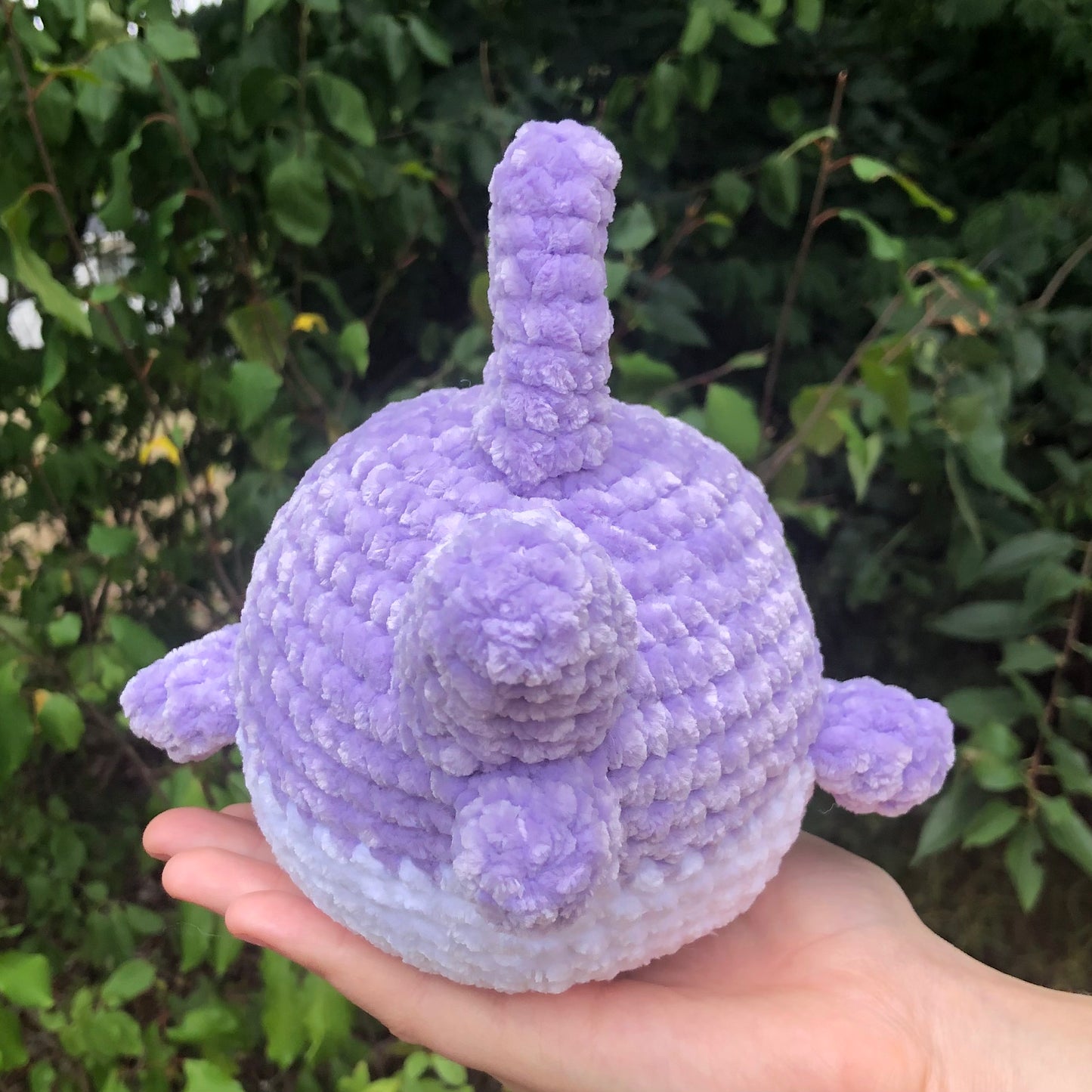Purple Shark