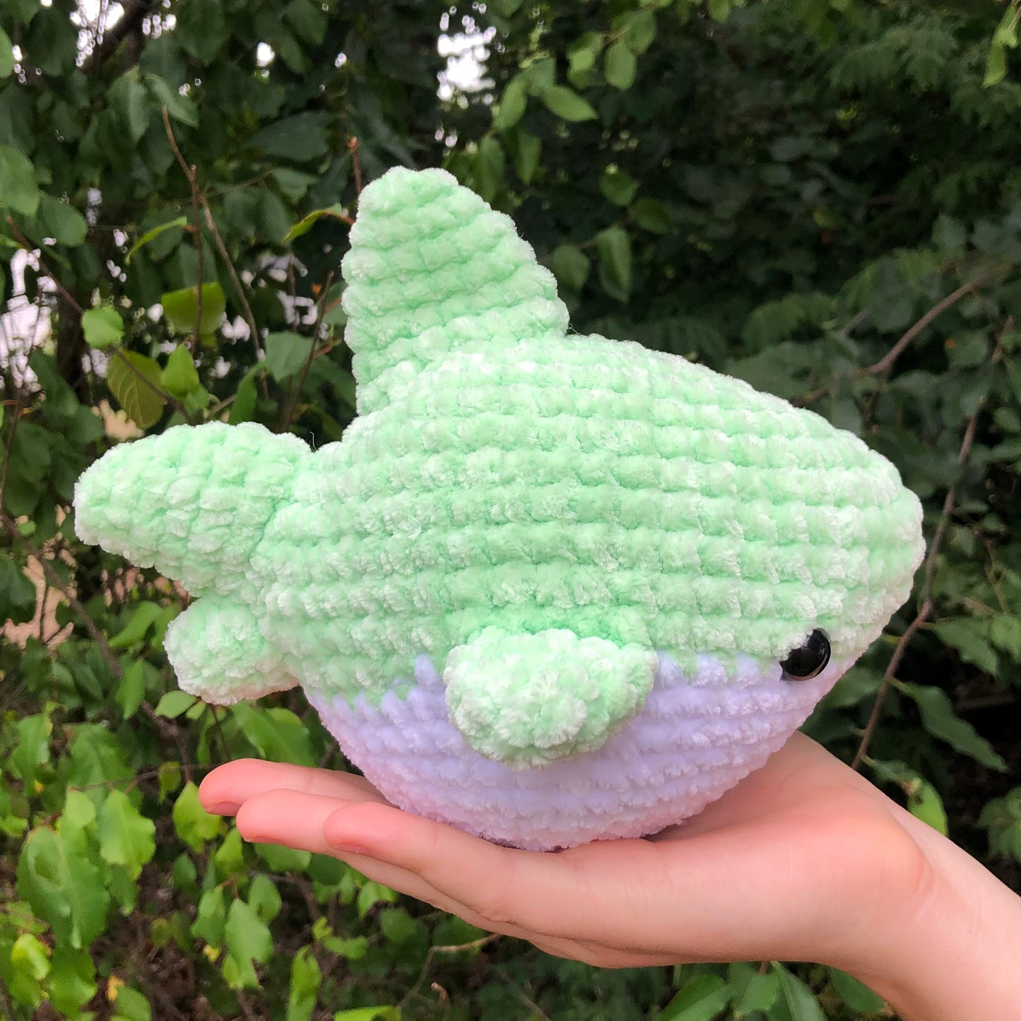 Green Shark