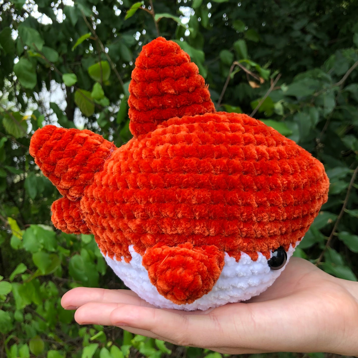 Orange Shark