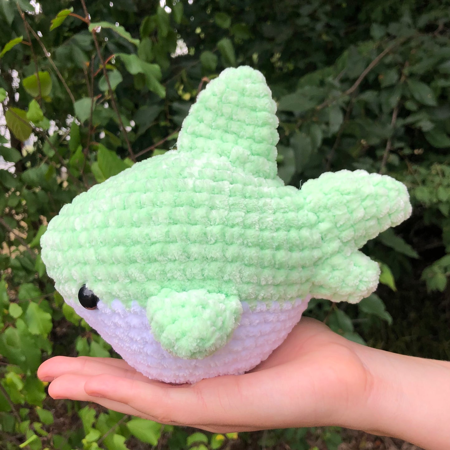 Green Shark
