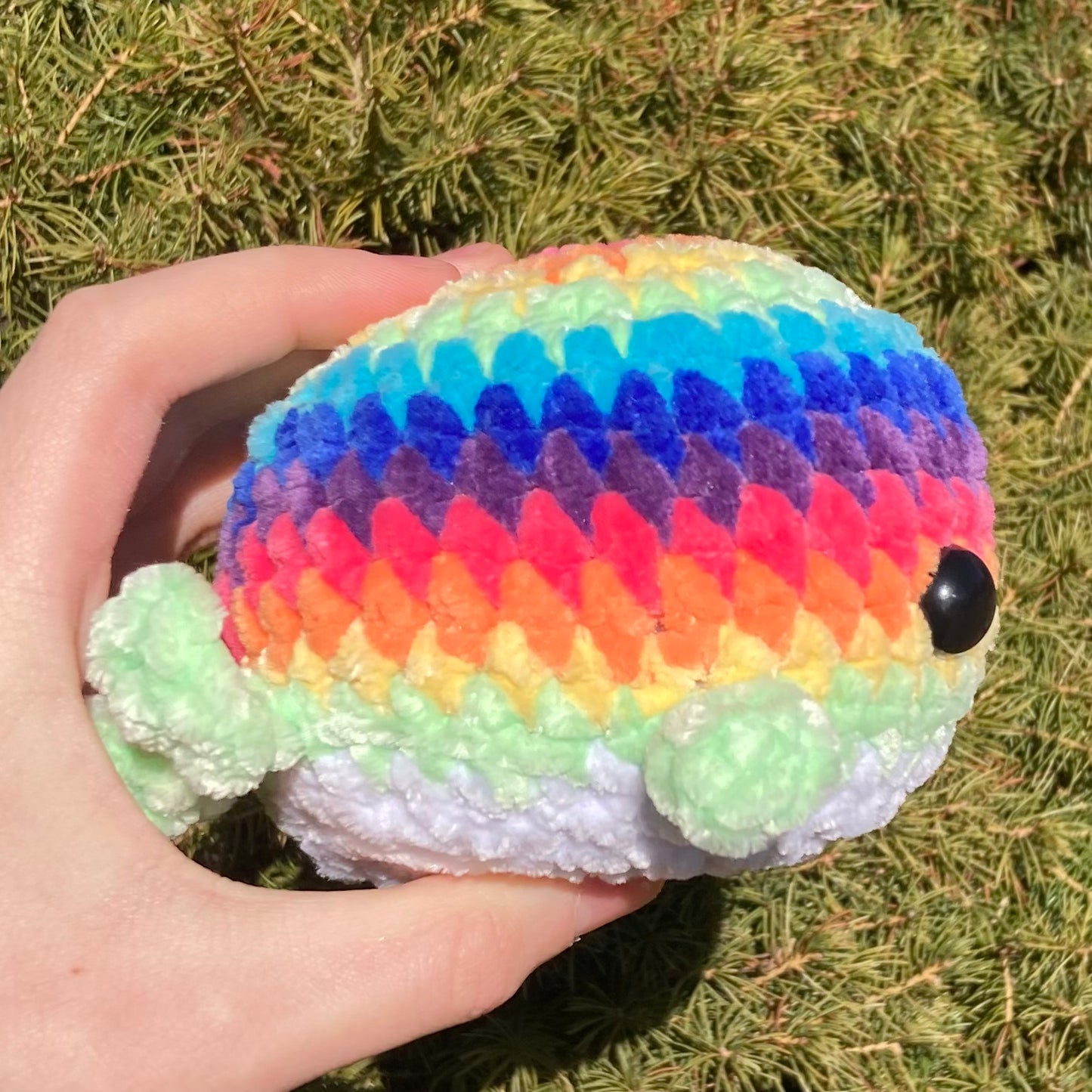 Rainbow Whale