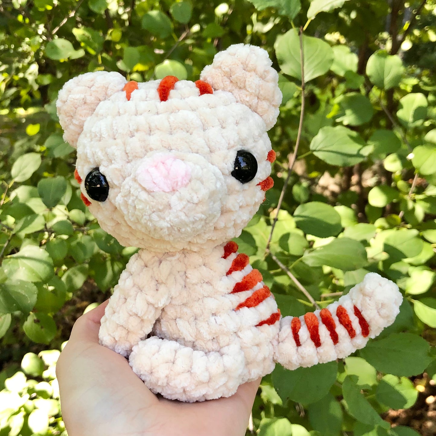 Tabby Cat