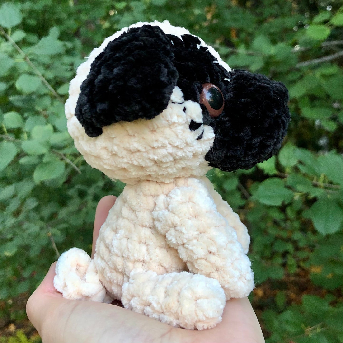 Pug