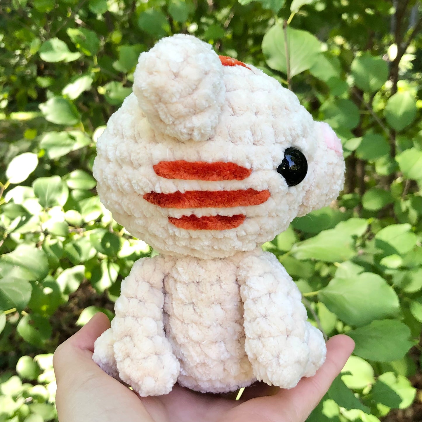 Tabby Cat
