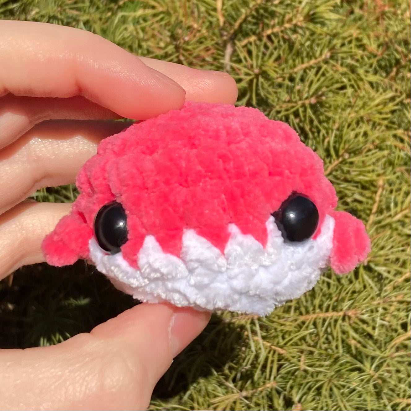 Deep Rainbow Mini Whales