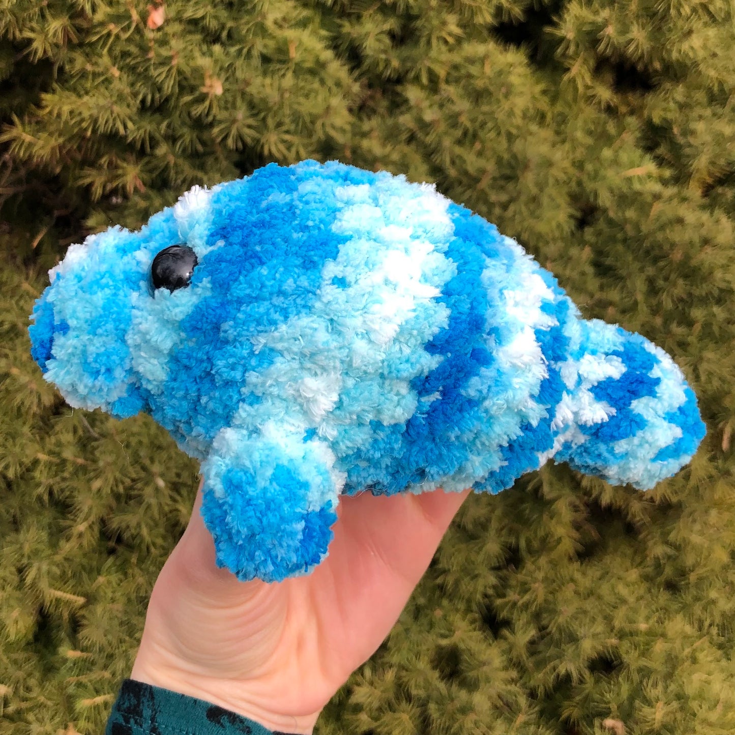 Blue Barbara Manatee