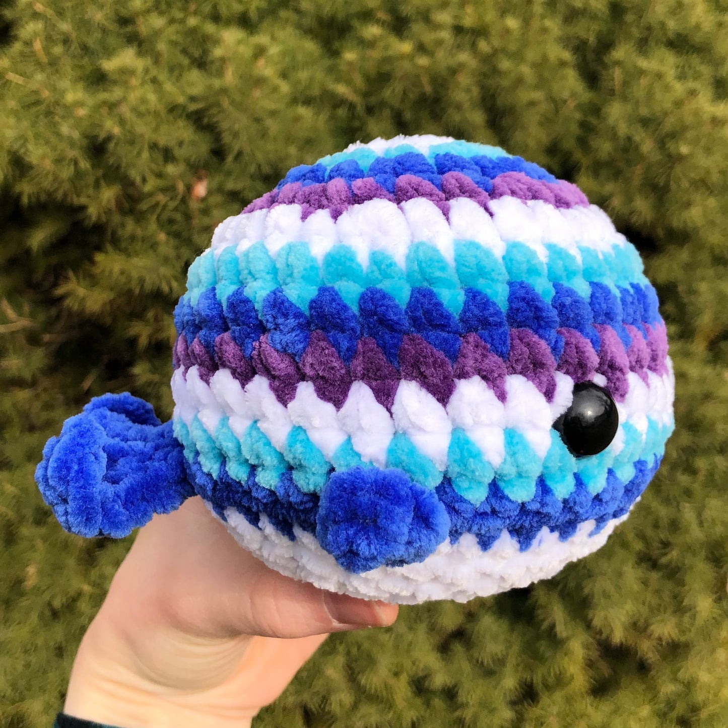 Ocean Whale