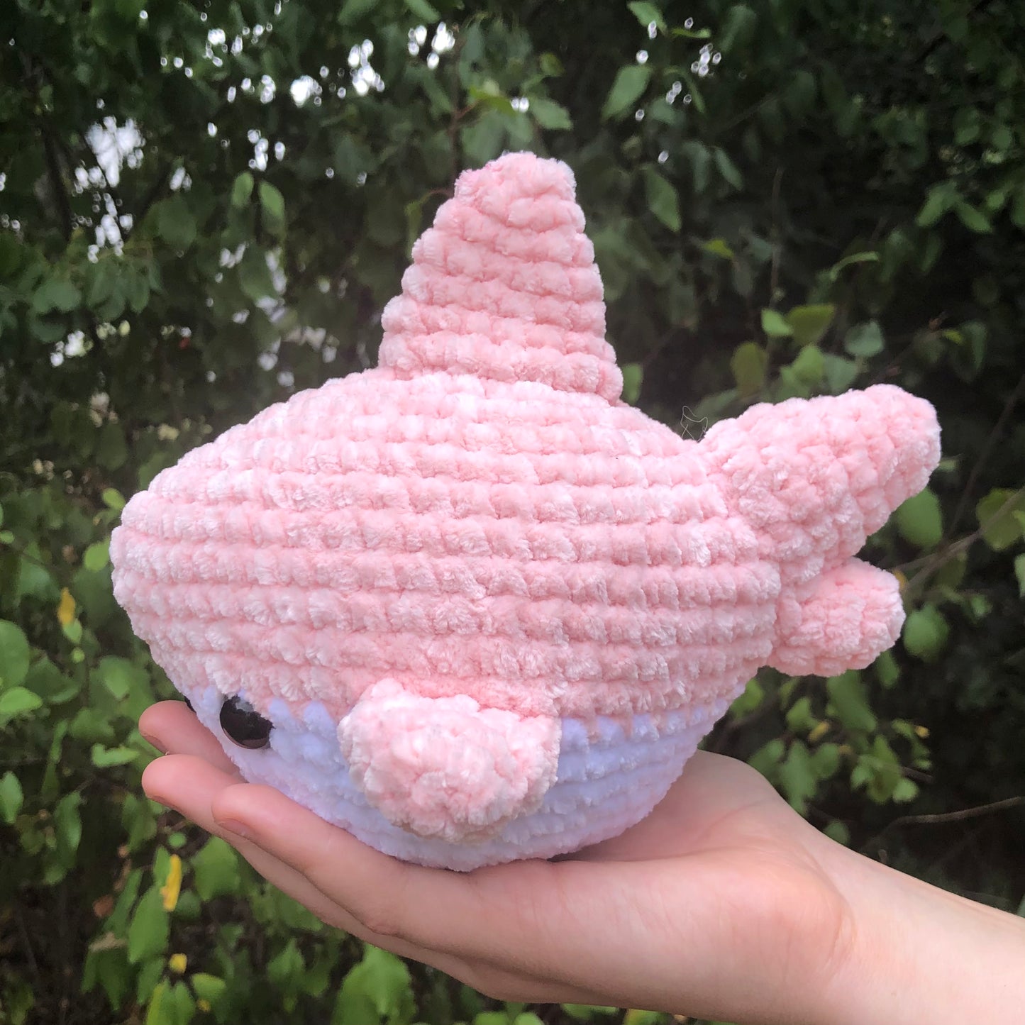 Pink Shark