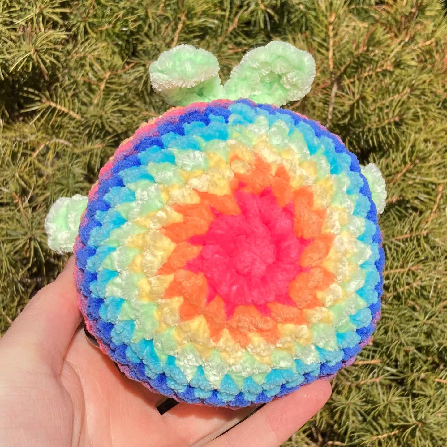 Rainbow Whale