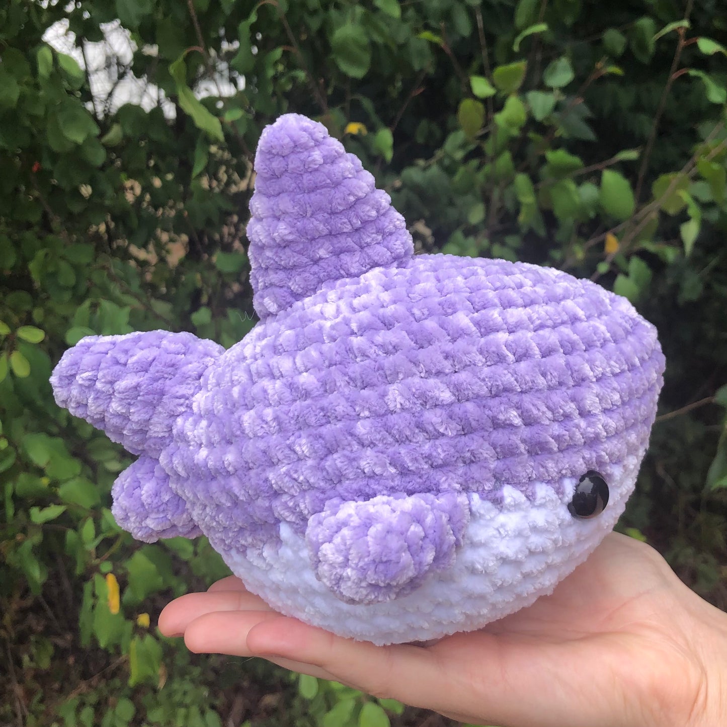 Purple Shark