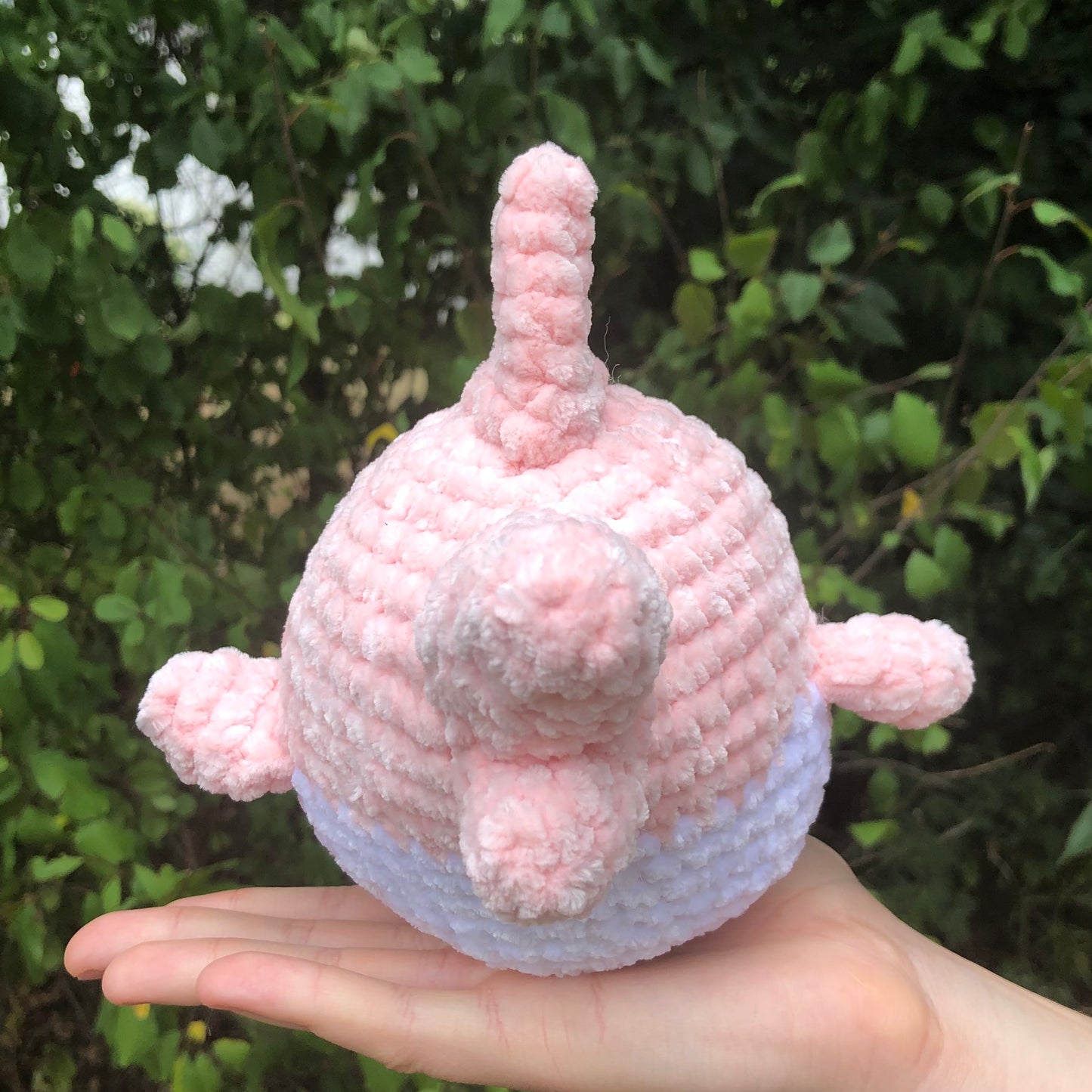 Pink Shark