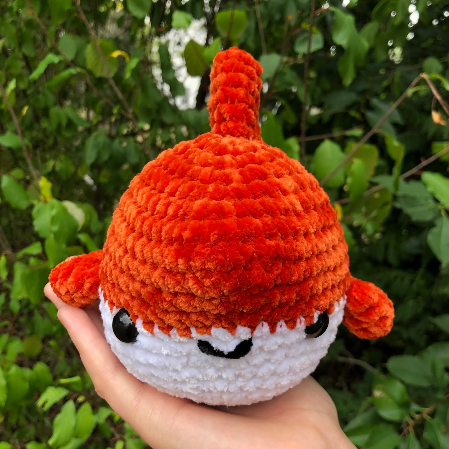 Orange Shark