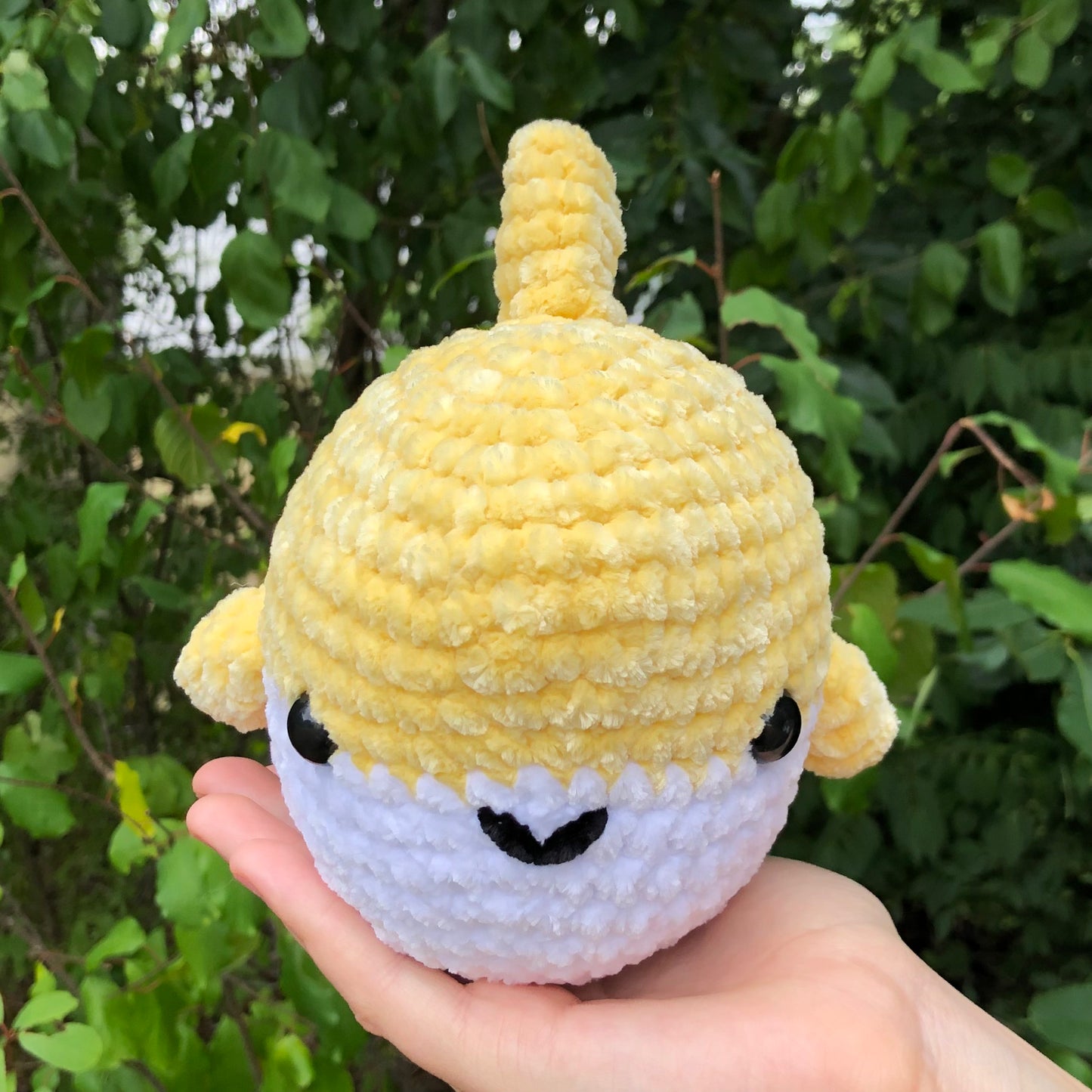 Yellow Shark