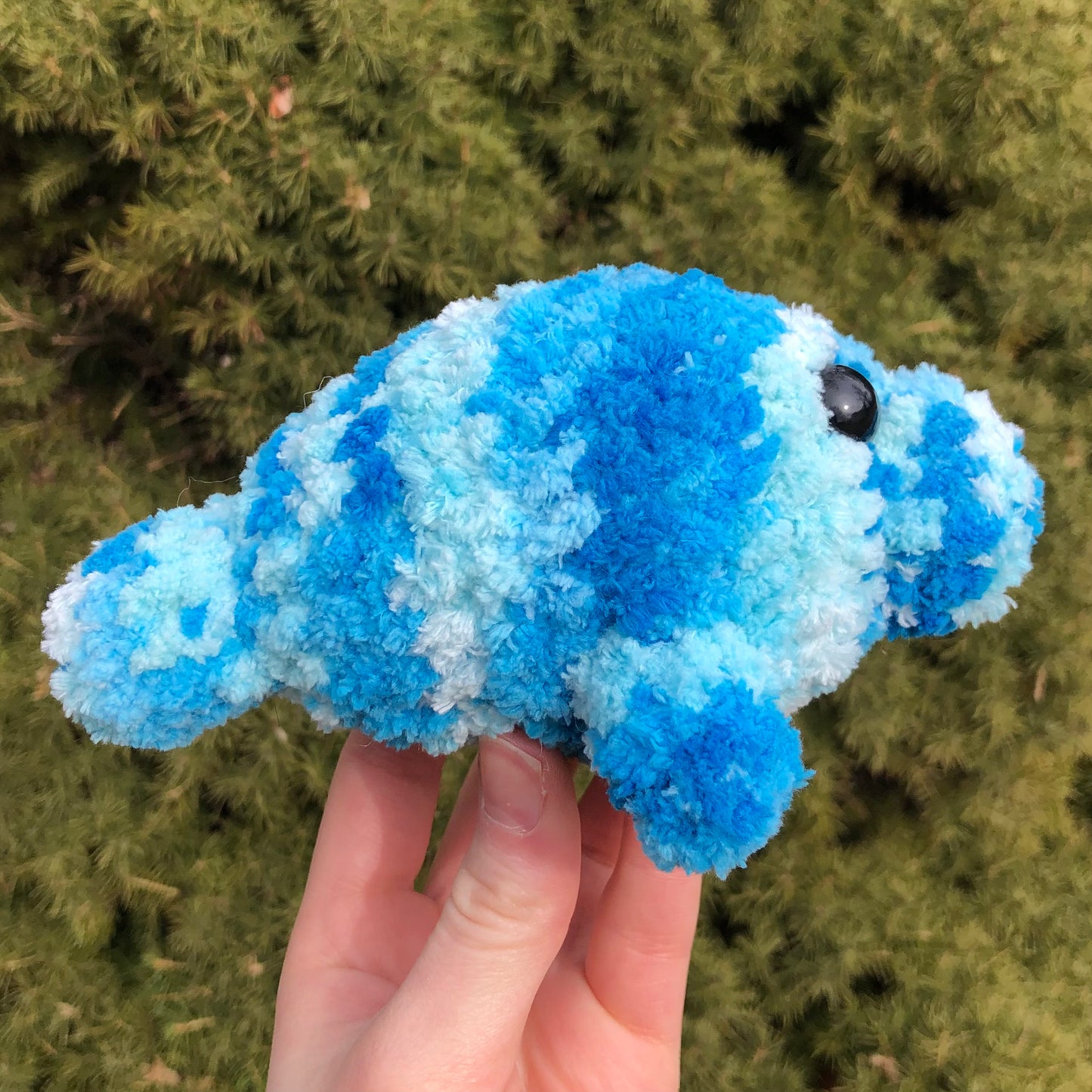 Blue Barbara Manatee