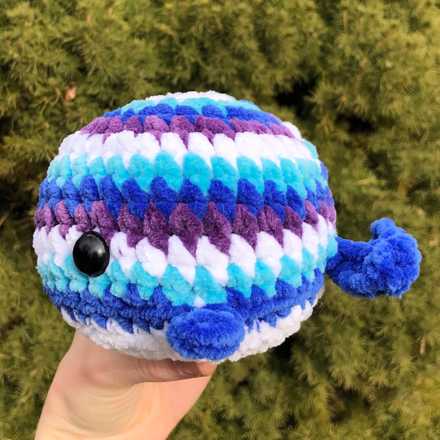 Ocean Whale
