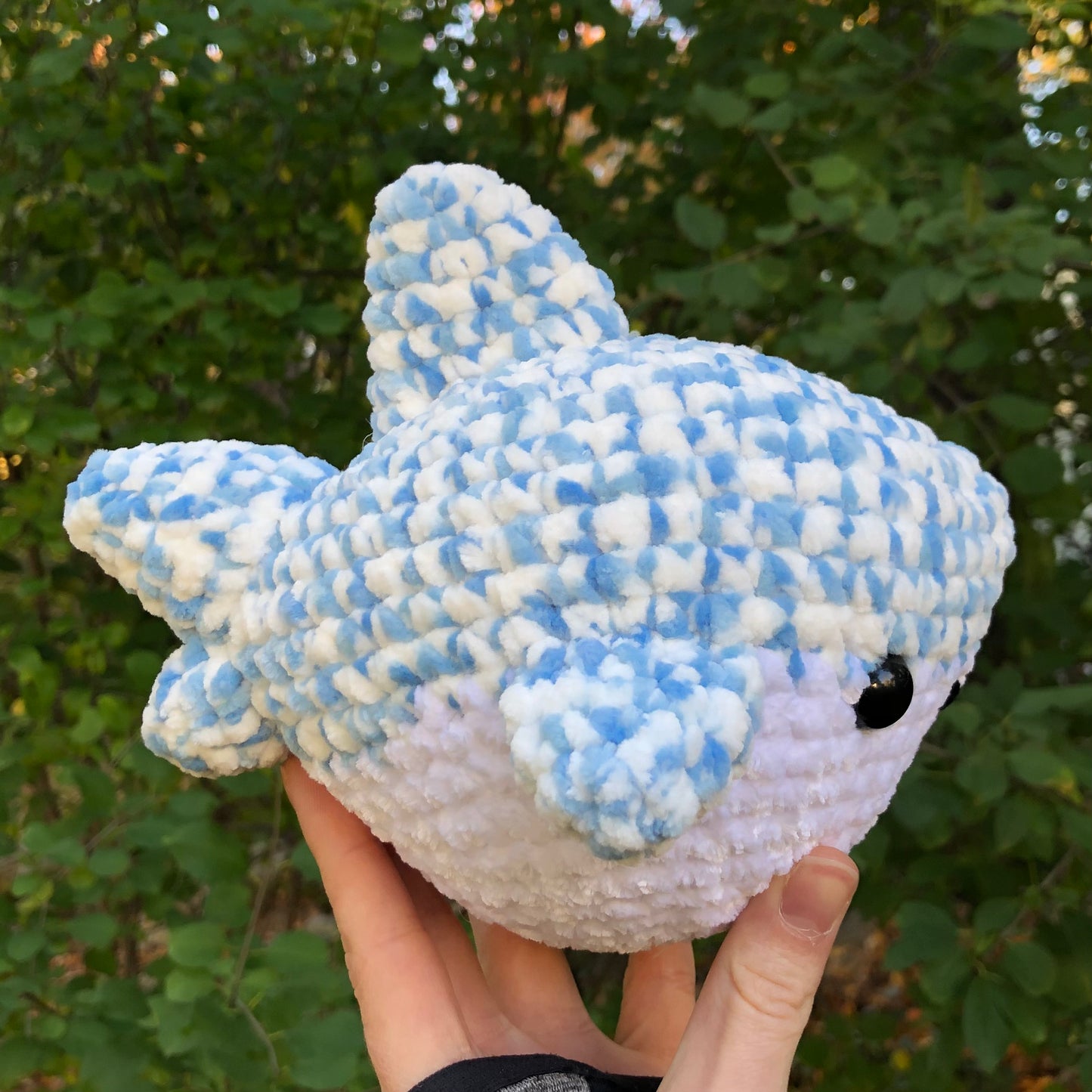 Puffy Clouds Shark