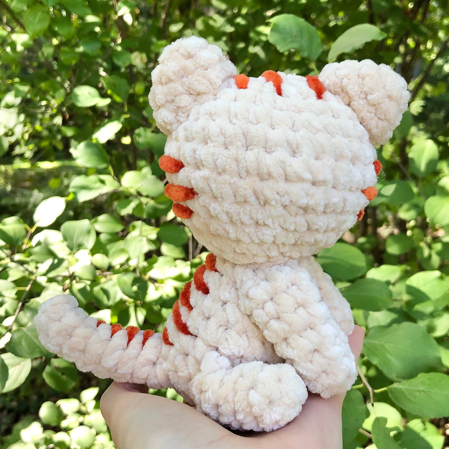 Tabby Cat