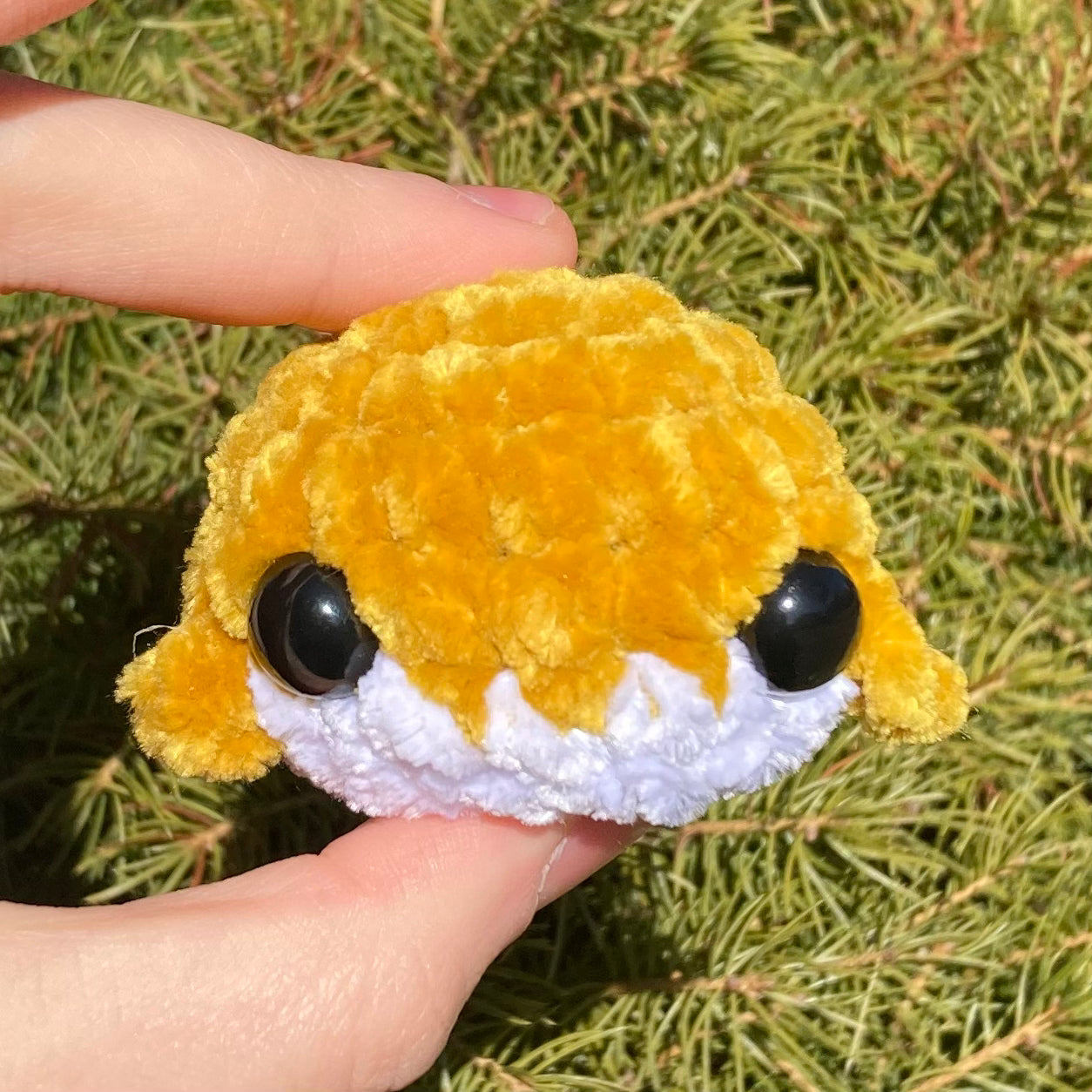 Deep Rainbow Mini Whales