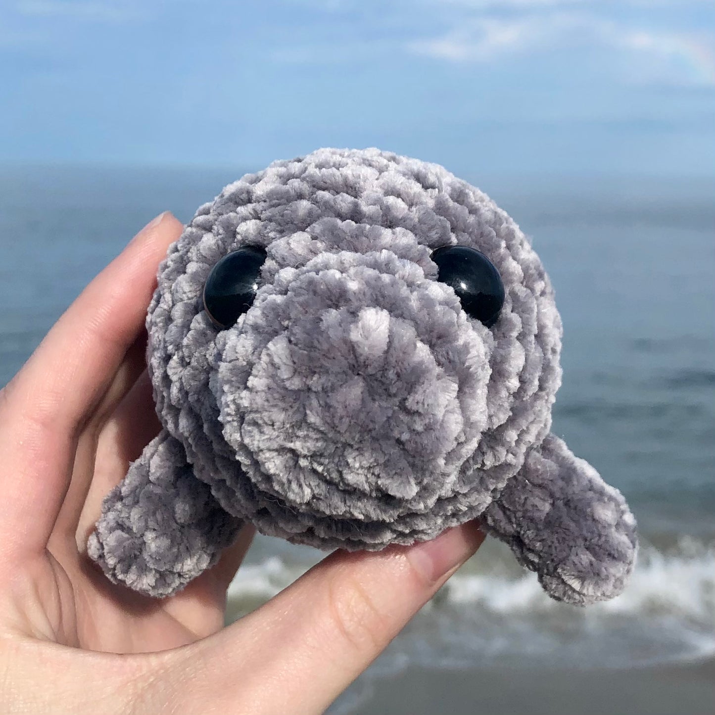 Barbara Manatee