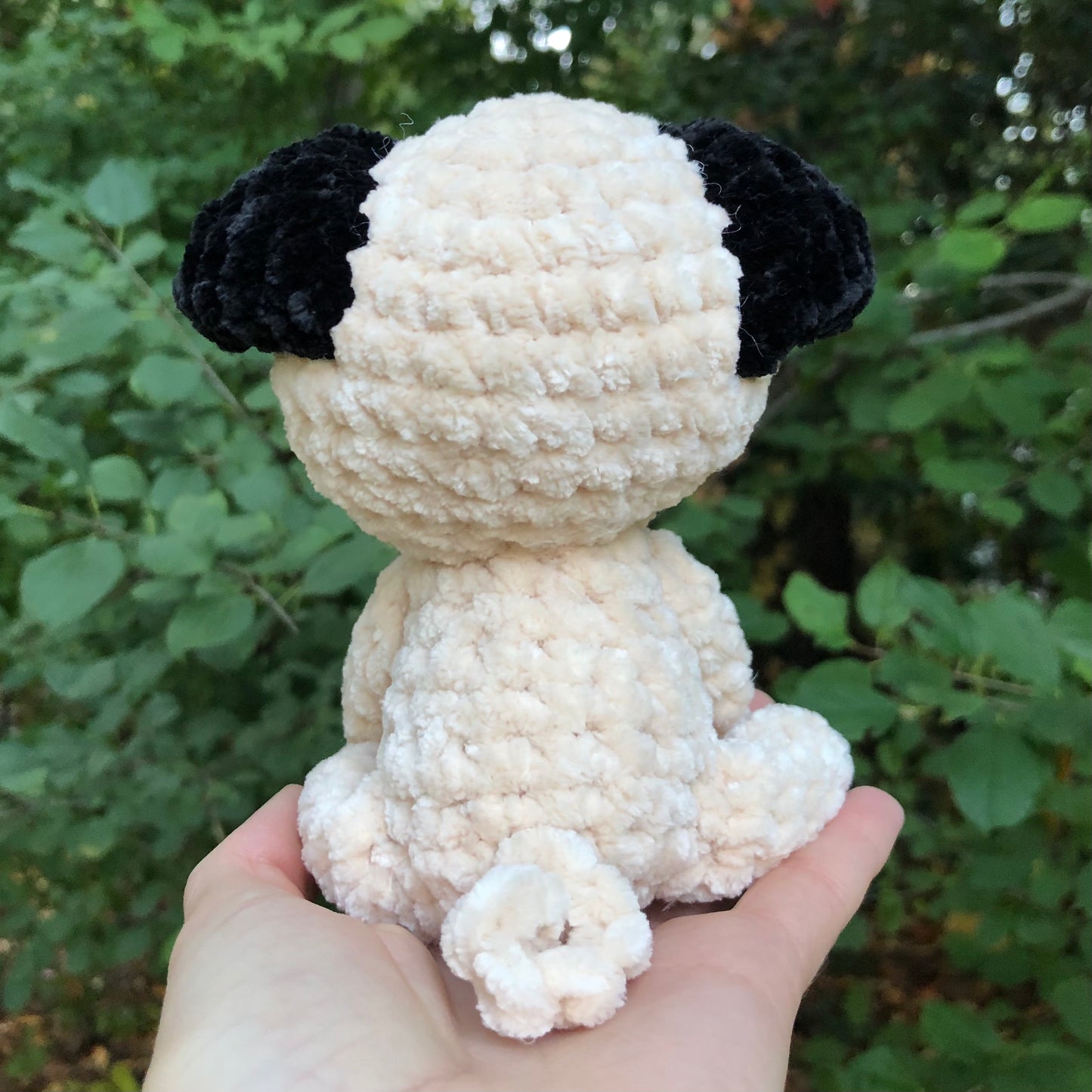 Pug