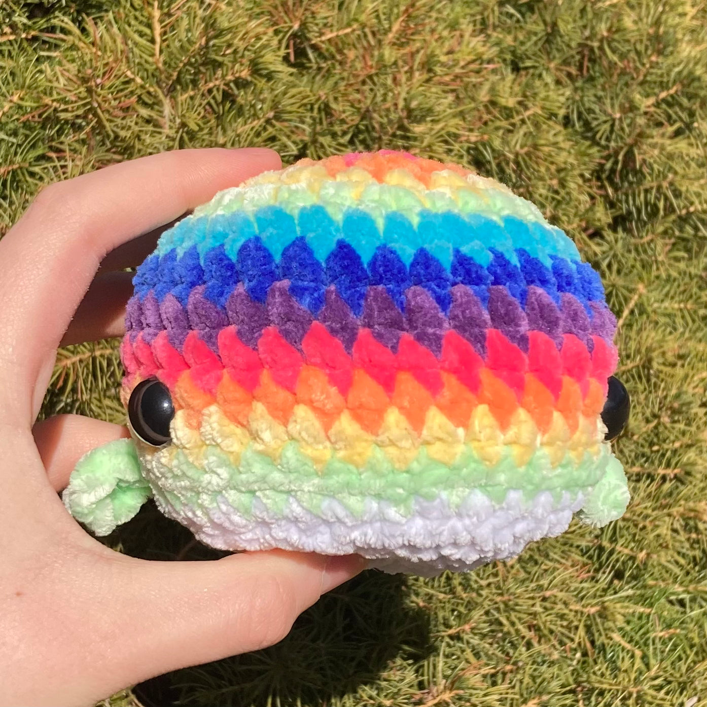 Rainbow Whale