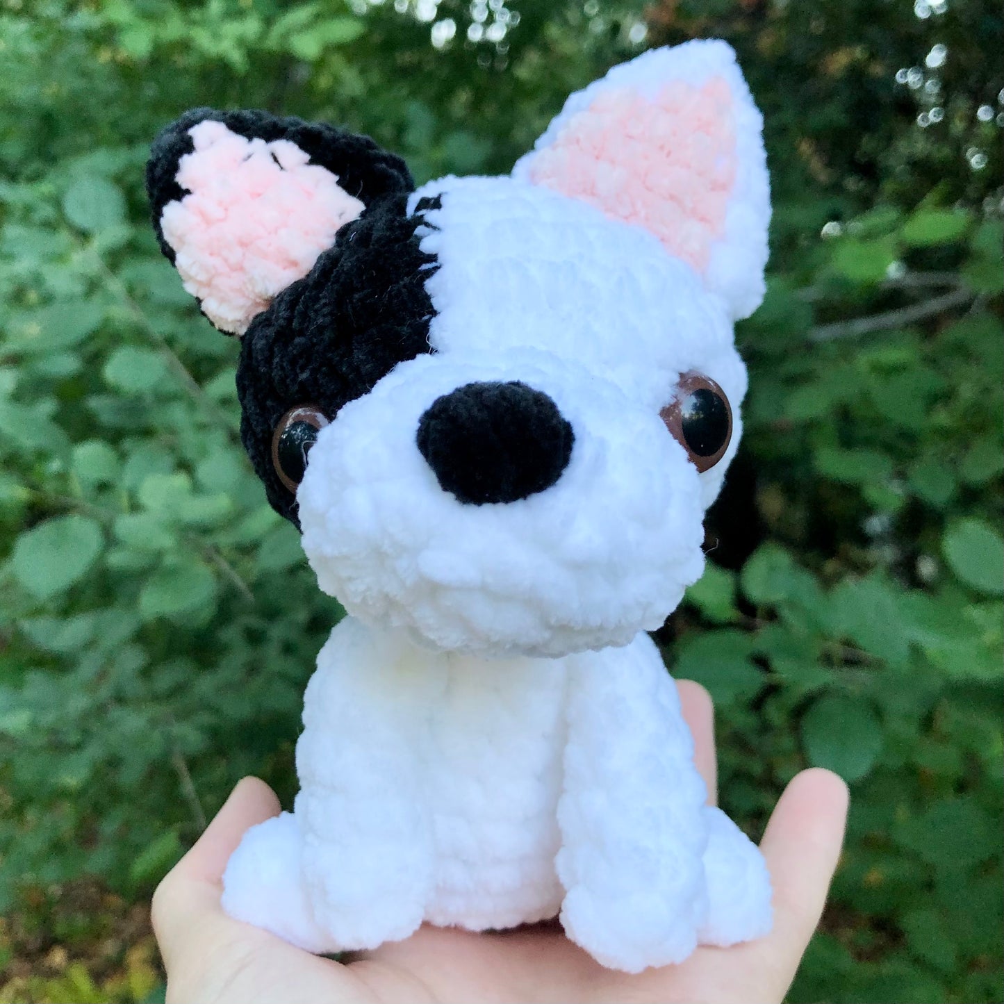 French Bulldog