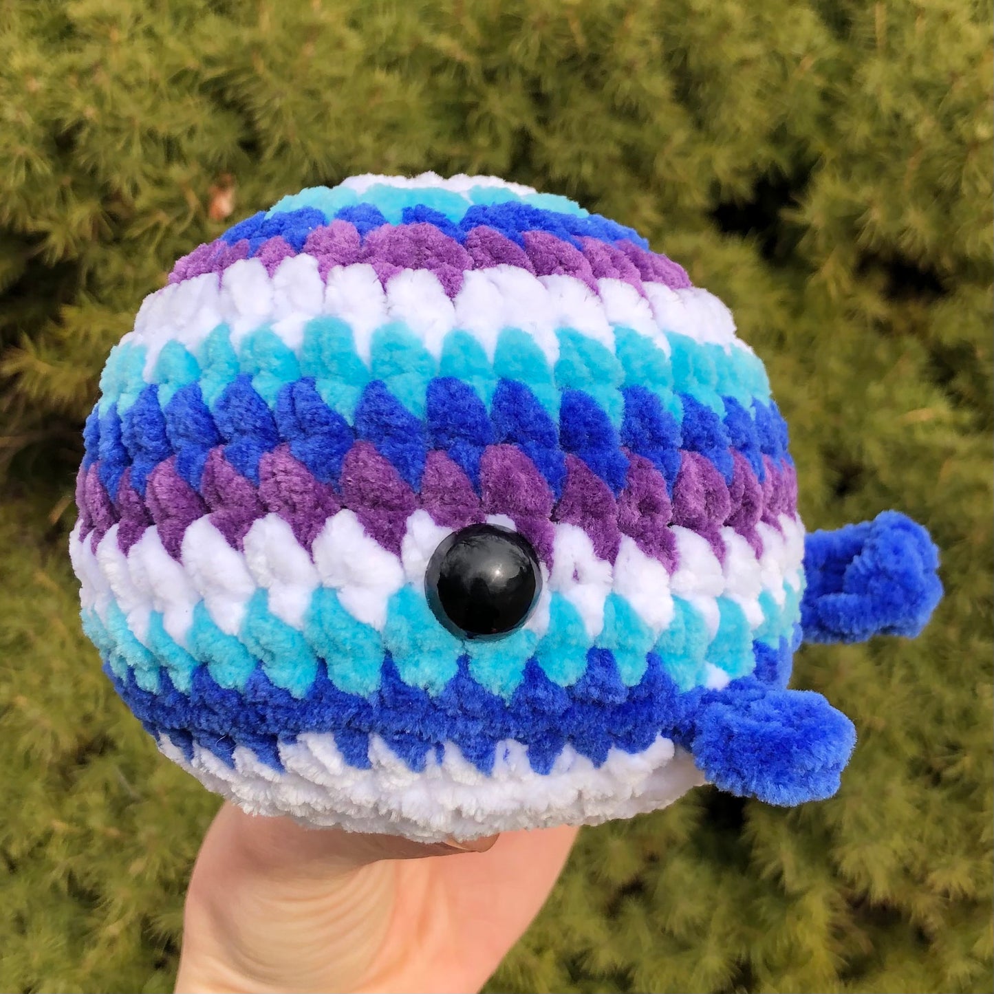 Ocean Whale
