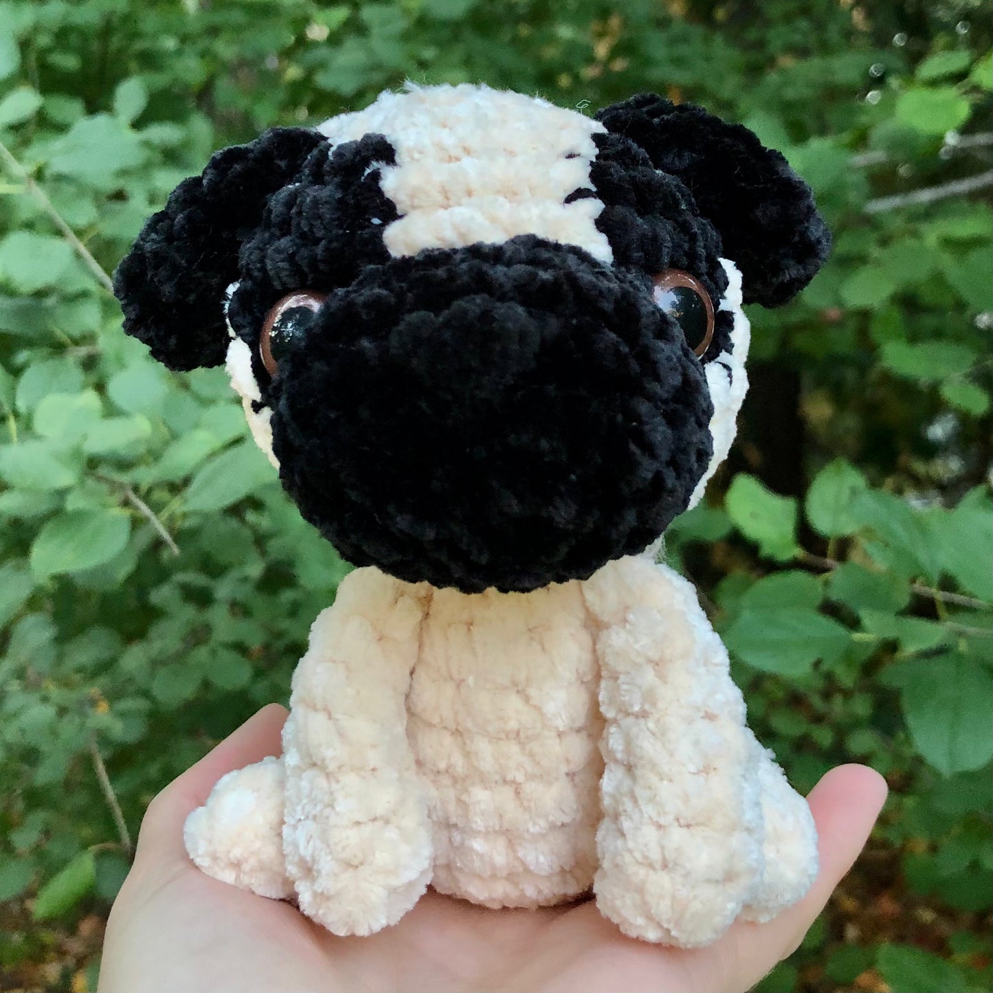 Mystery Dog