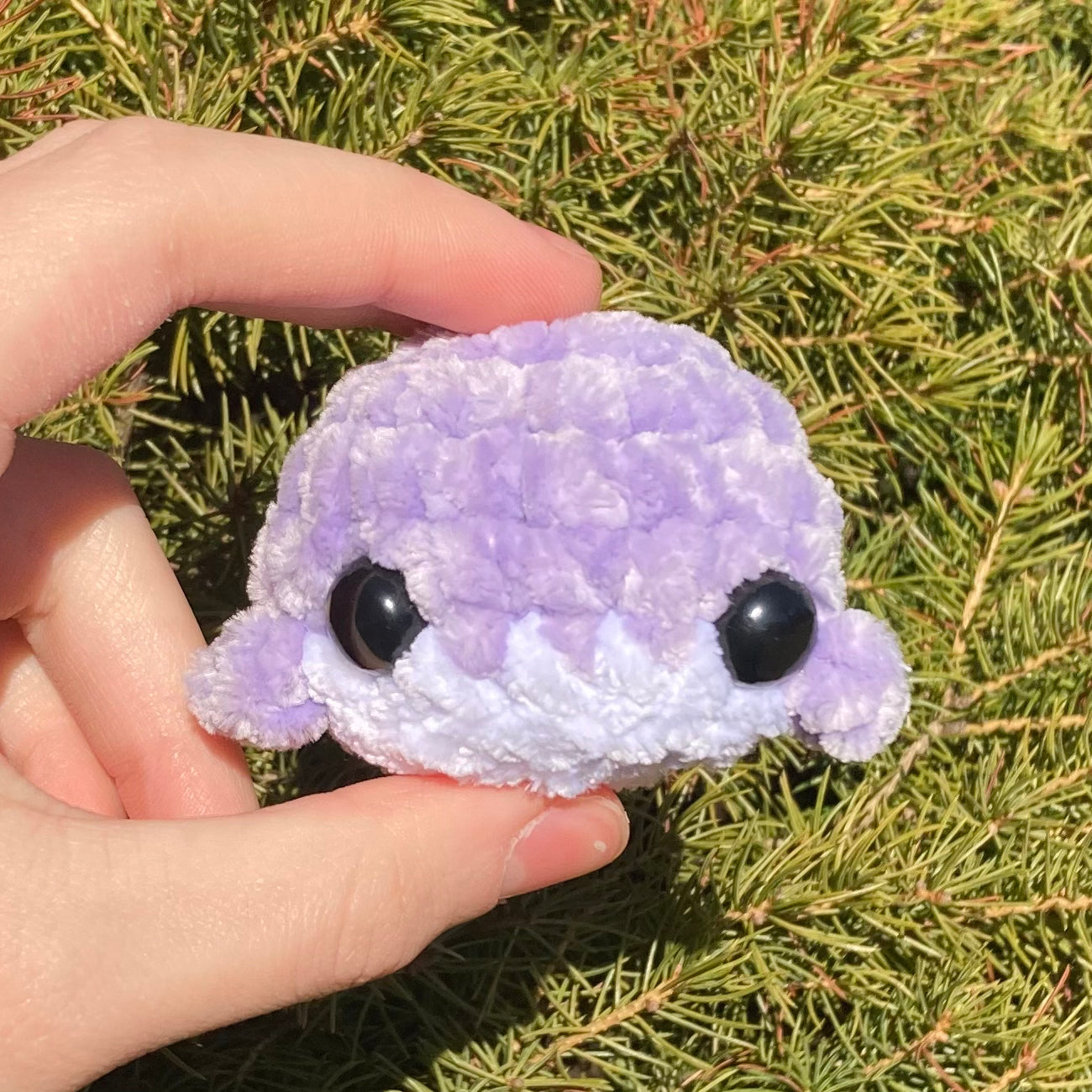 Bright/Pastel Rainbow Mini Whales