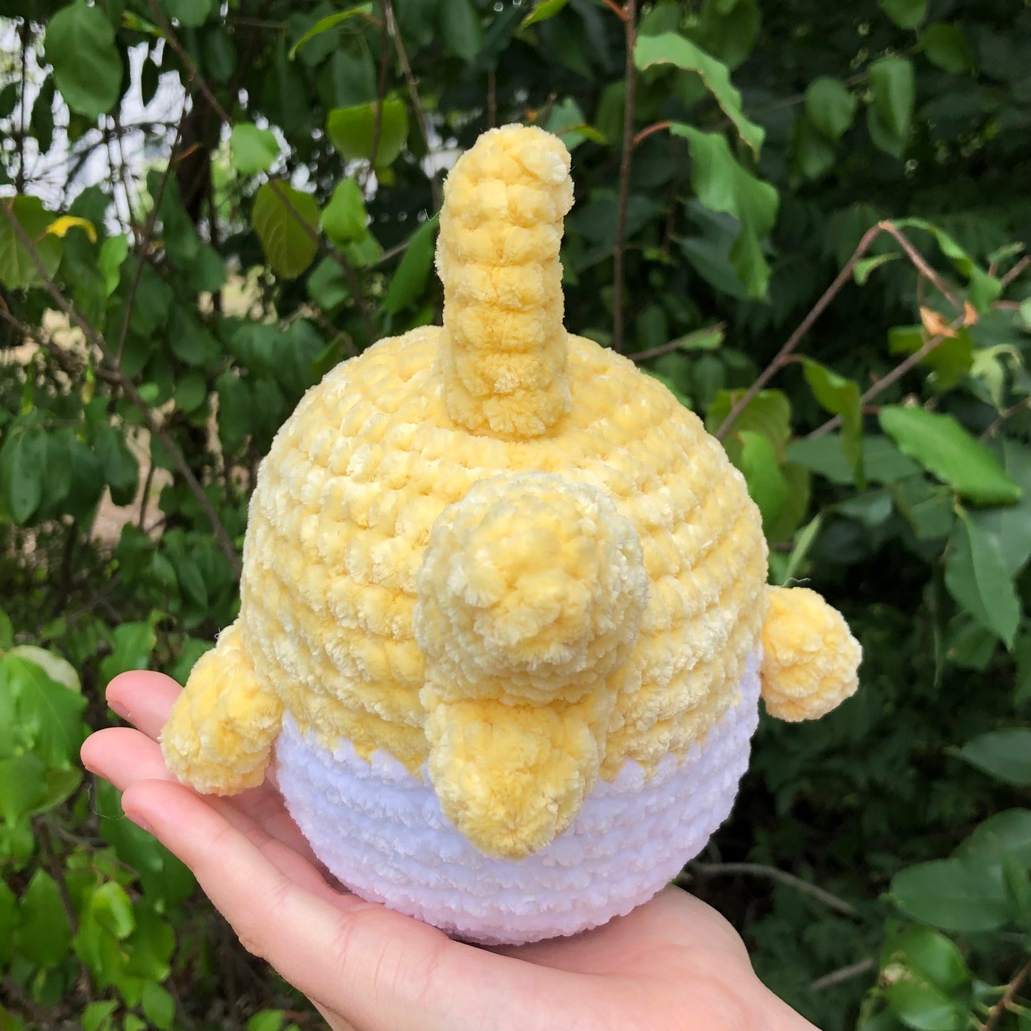 Yellow Shark