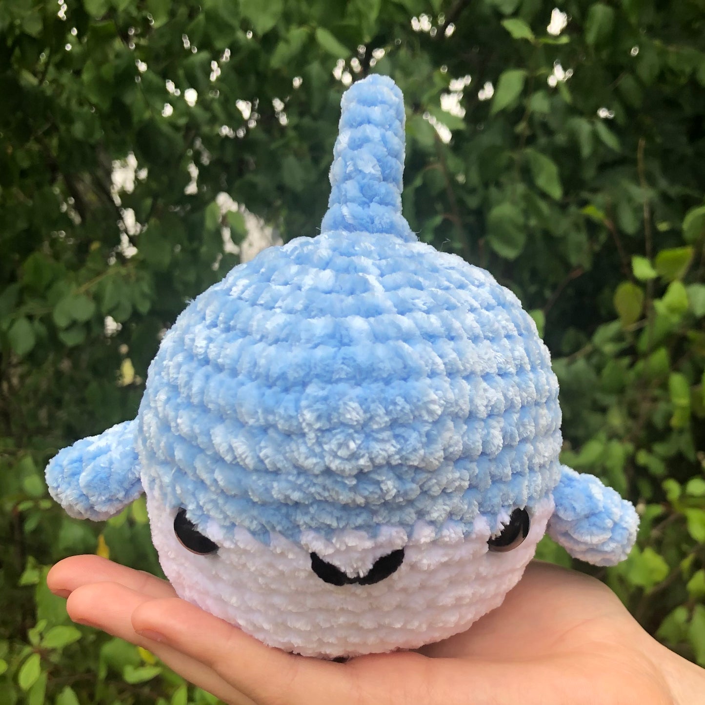 Blue Shark