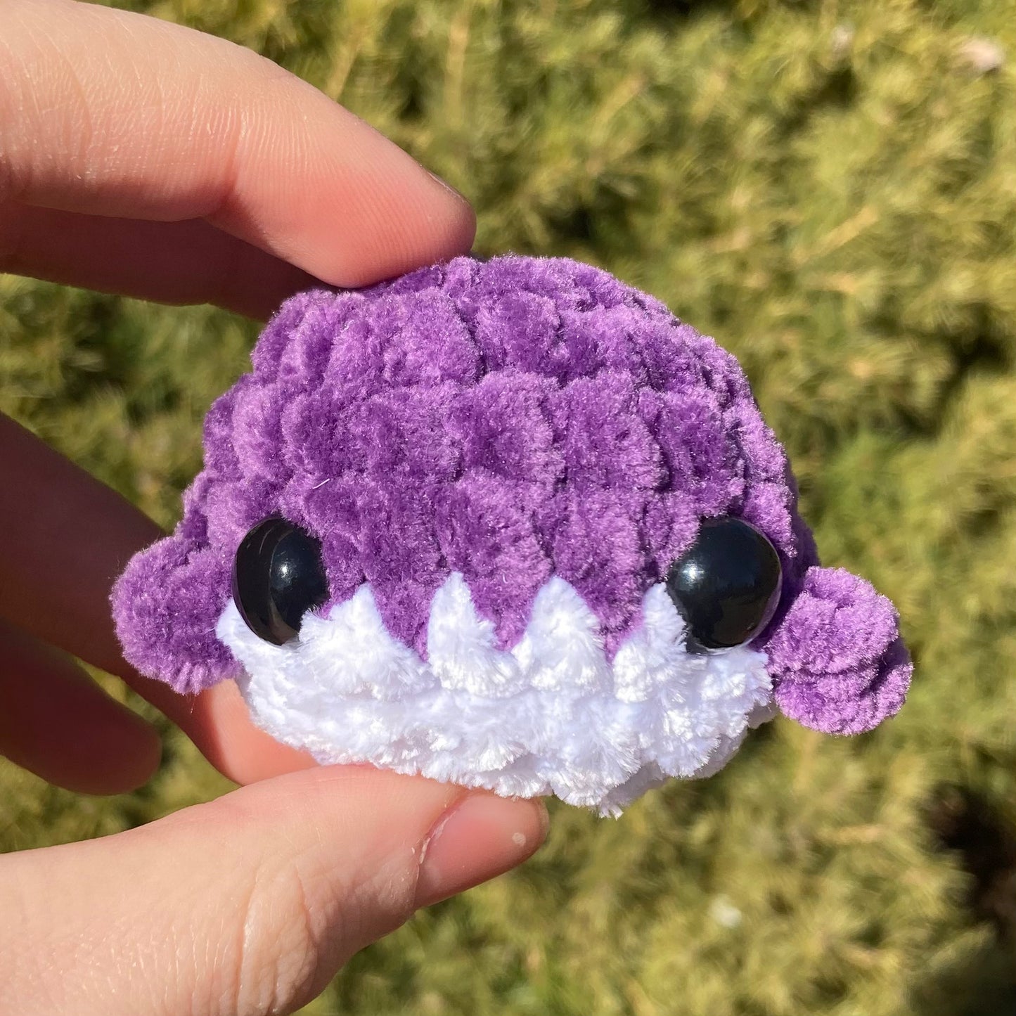 Deep Rainbow Mini Whales