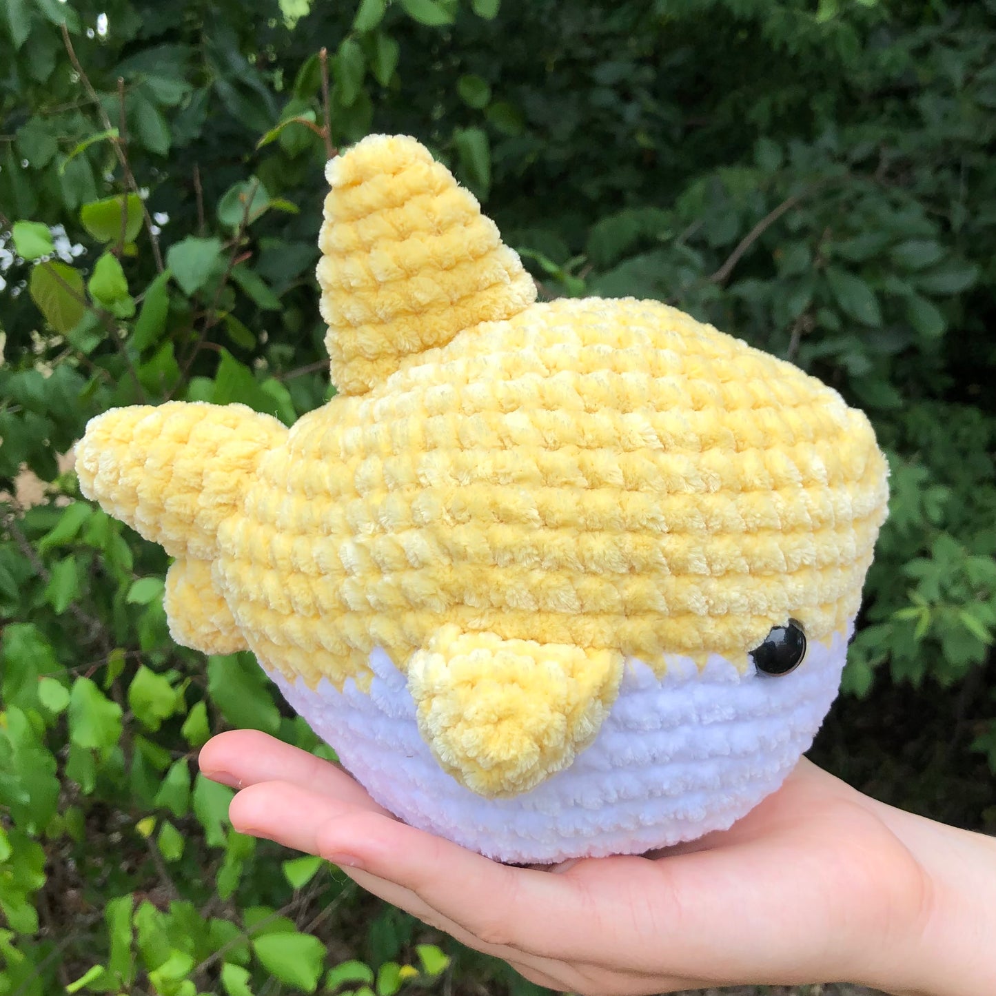 Yellow Shark