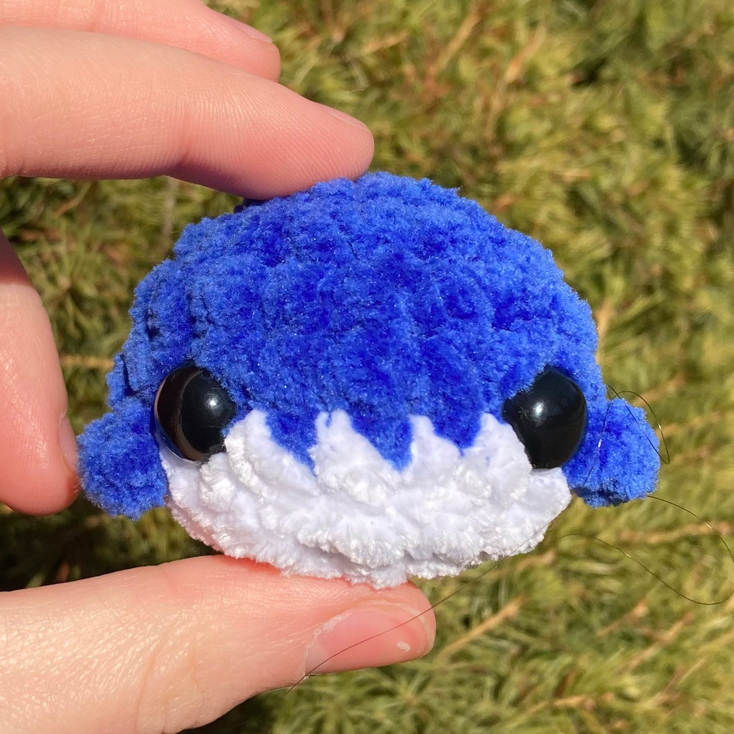 Deep Rainbow Mini Whales