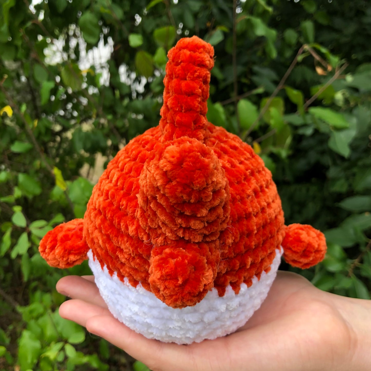 Orange Shark