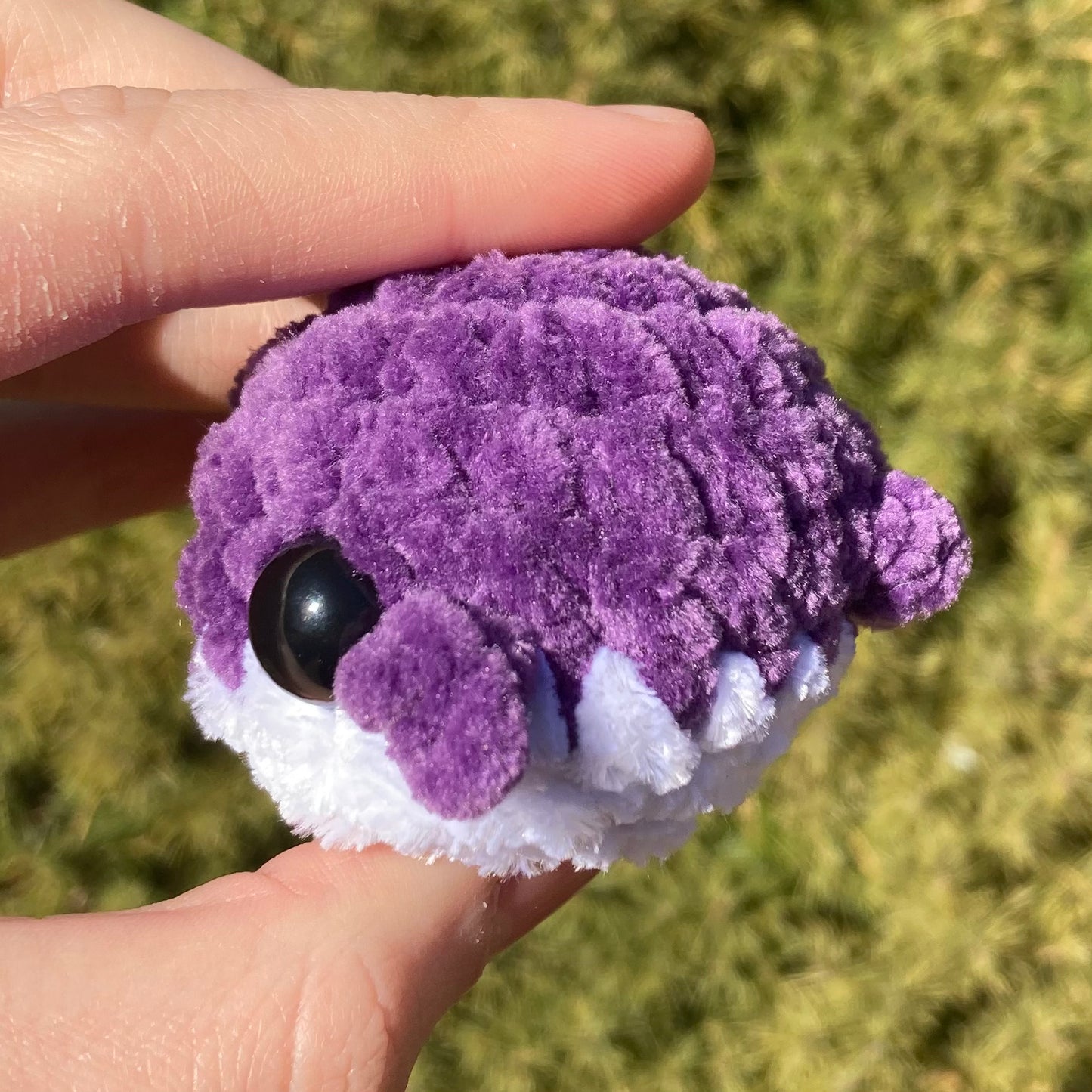 Deep Rainbow Mini Whales