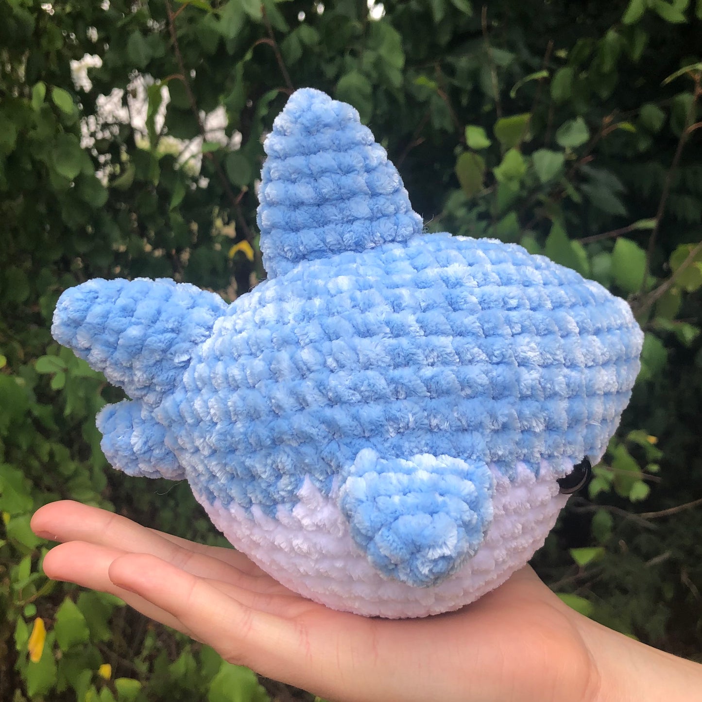 Blue Shark