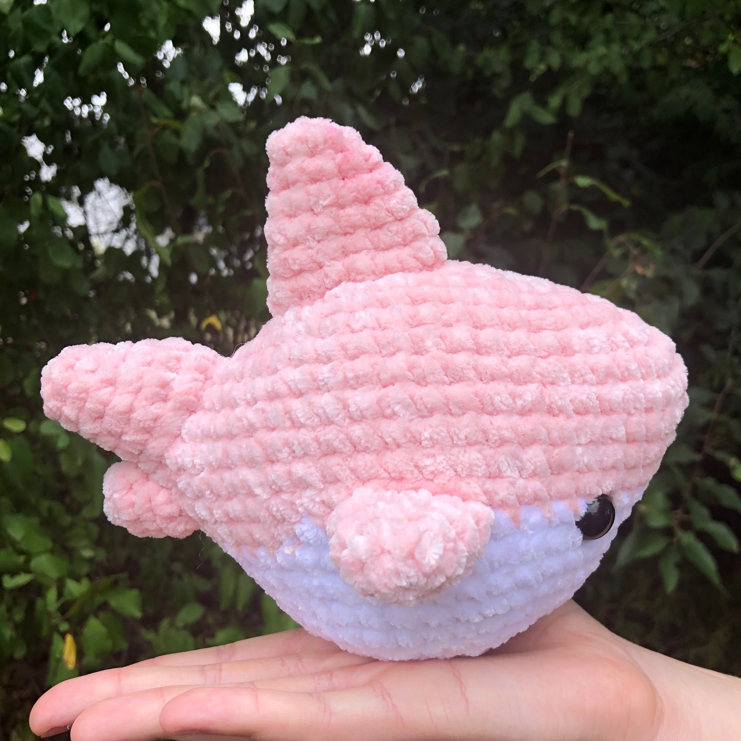 Pink Shark
