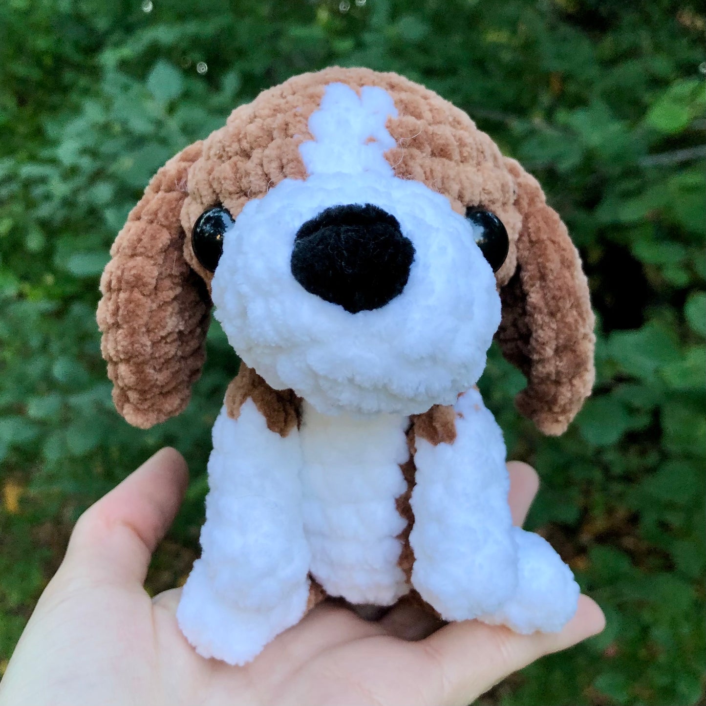 Beagle