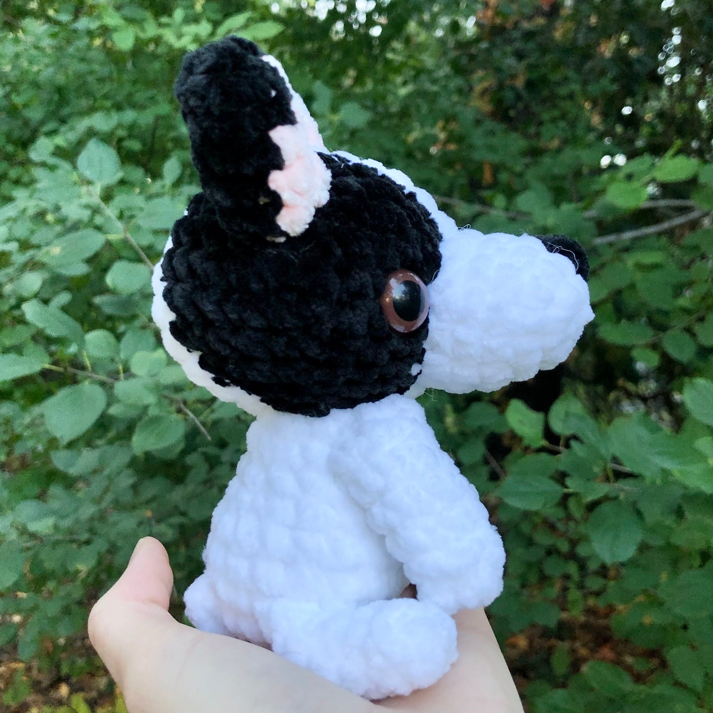 French Bulldog