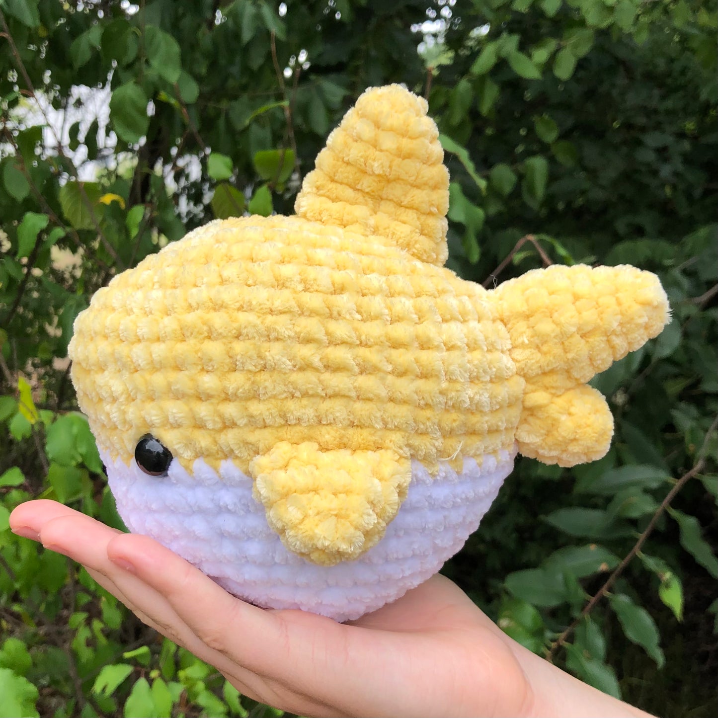 Yellow Shark