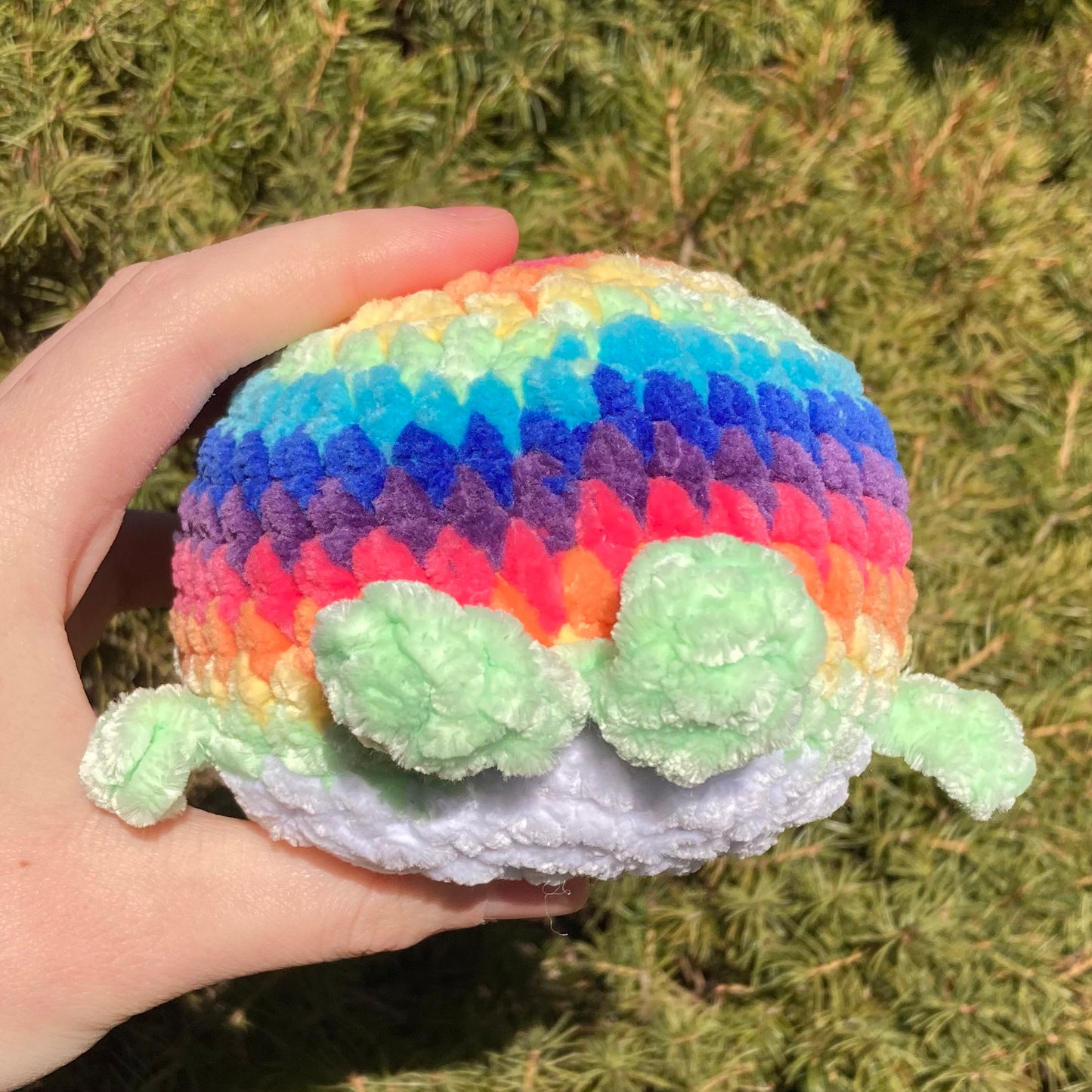 Rainbow Whale