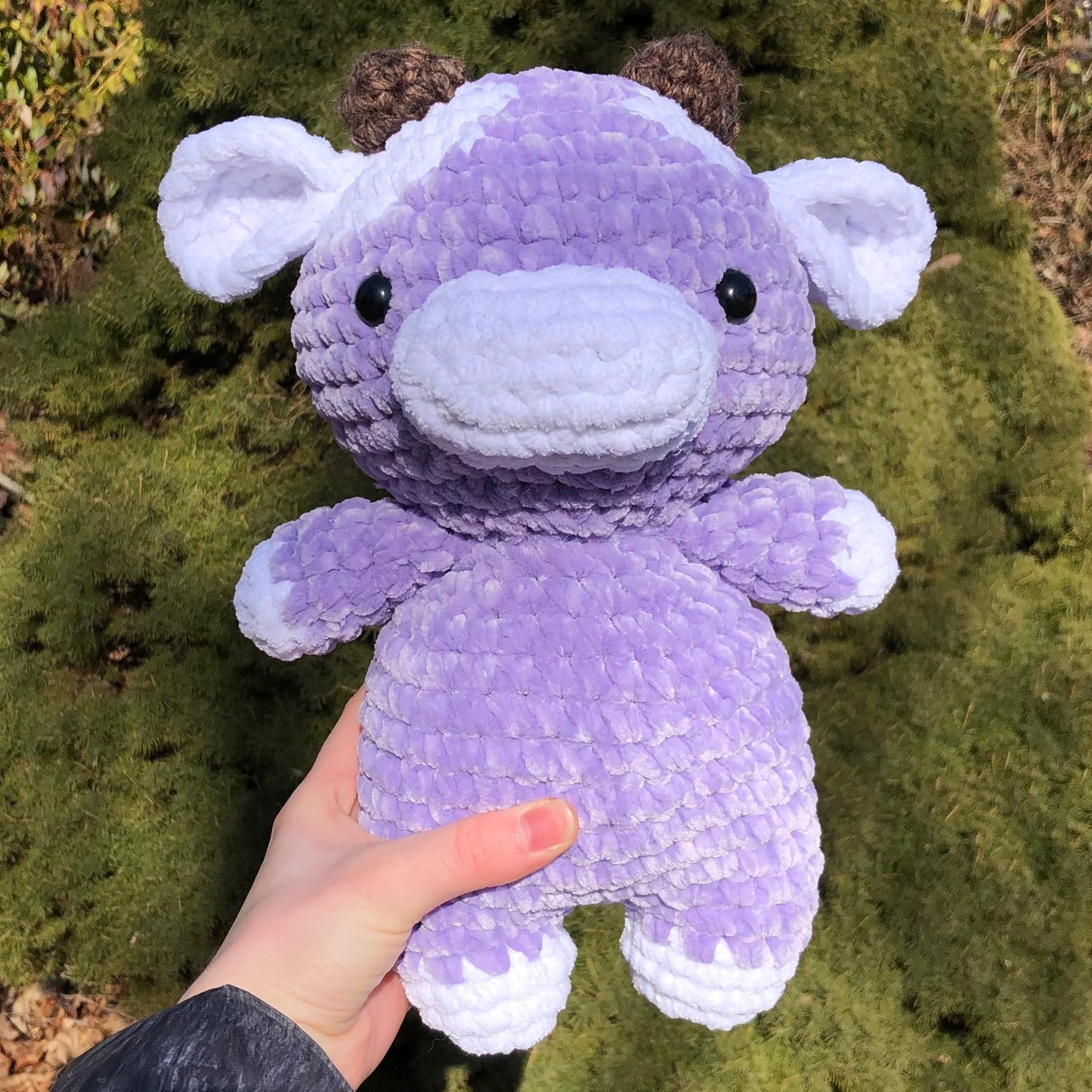Jumbo Purple Cow